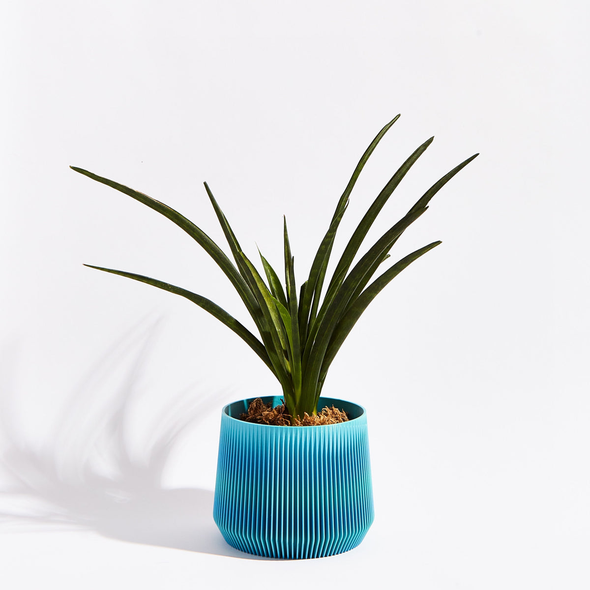 Pillar pot- Ocean blue