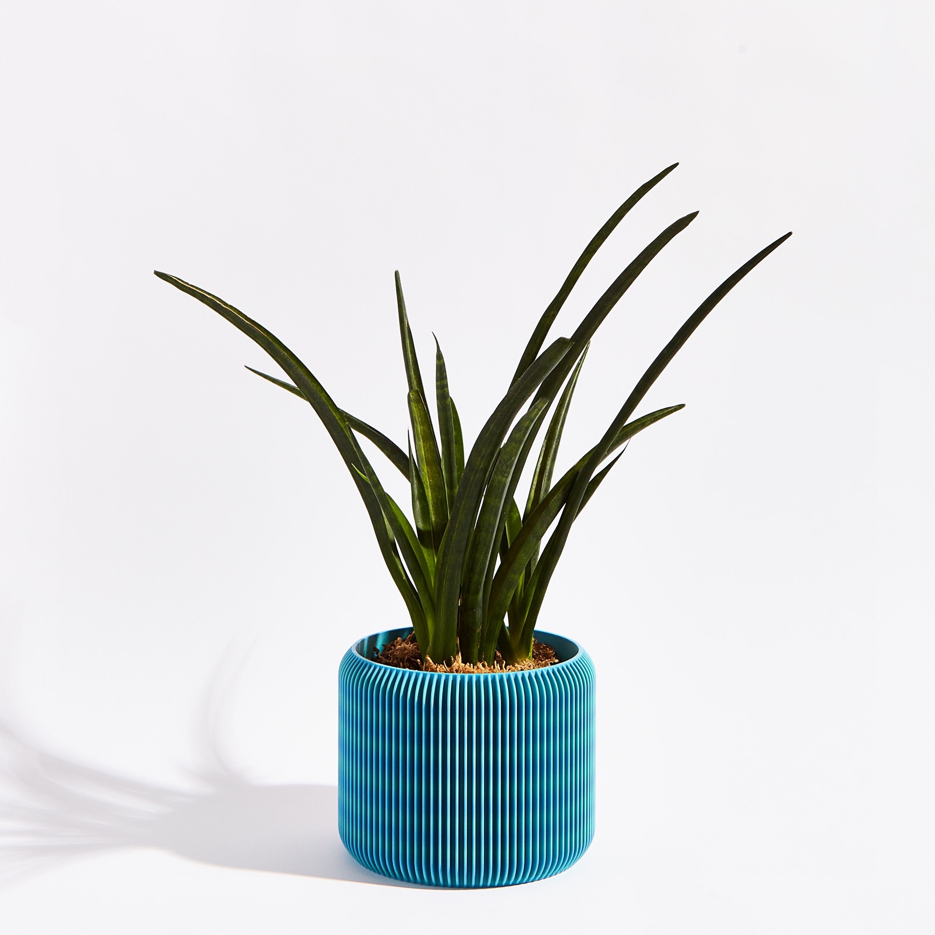 Turbin pot- Ocean blue