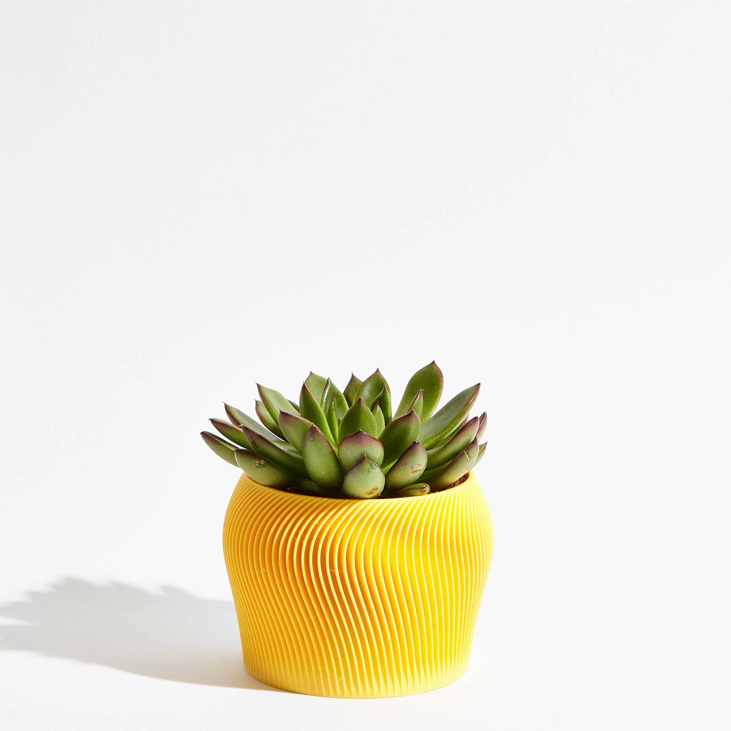 Orbital pot - Banana yellow