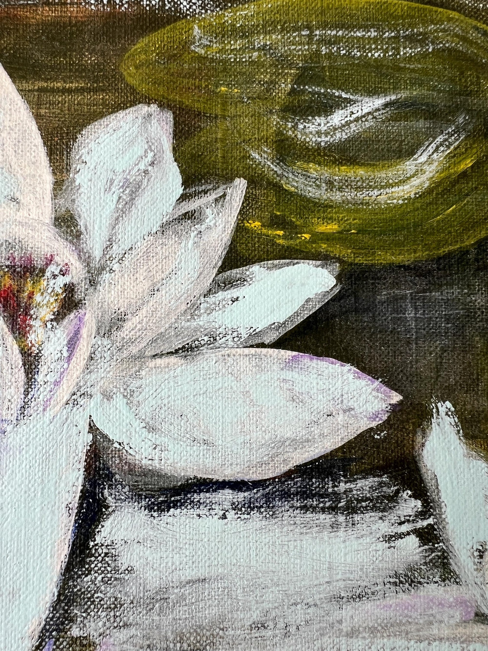 WATER LILIES