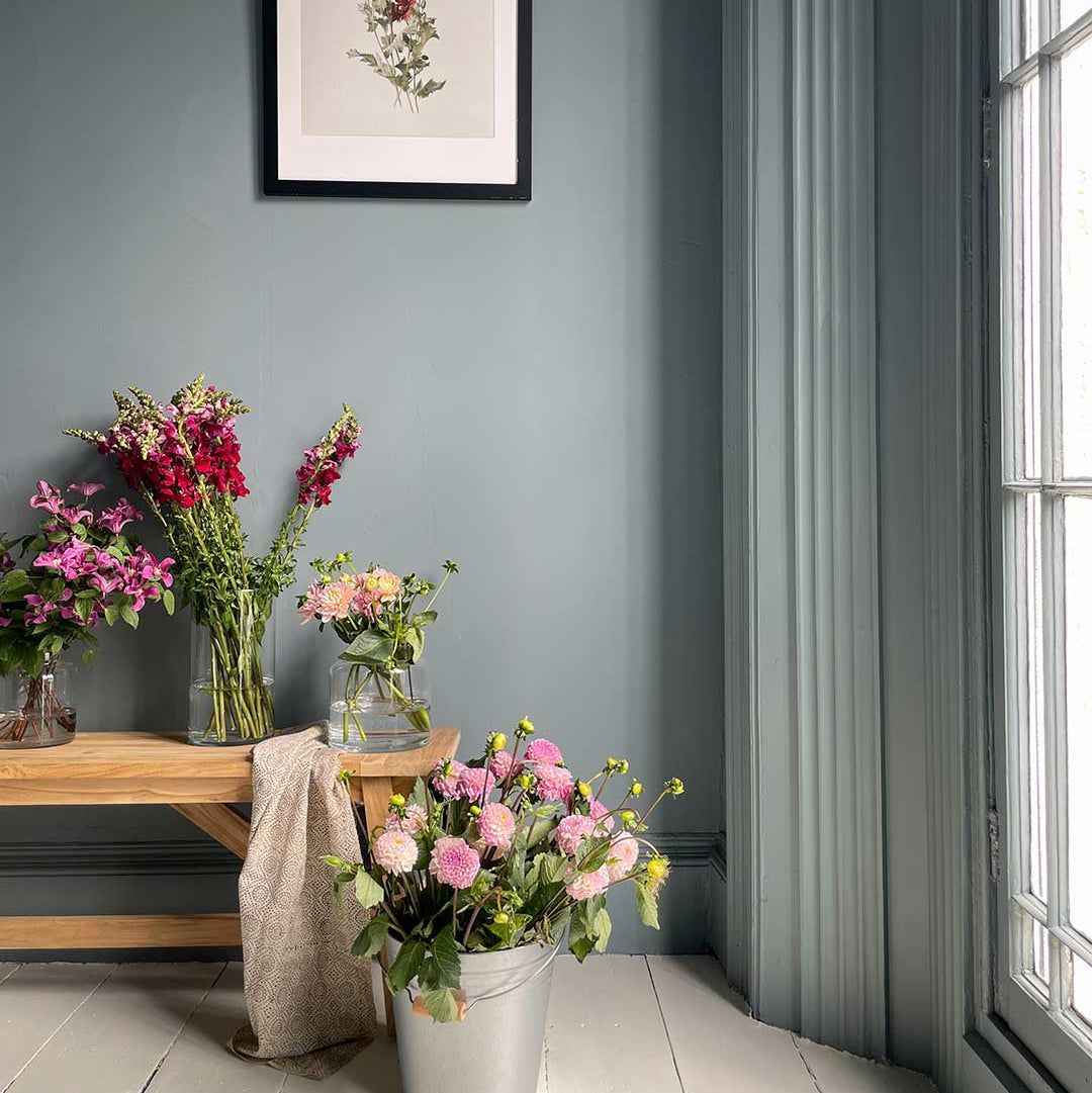 Cambrian Blue | Paint