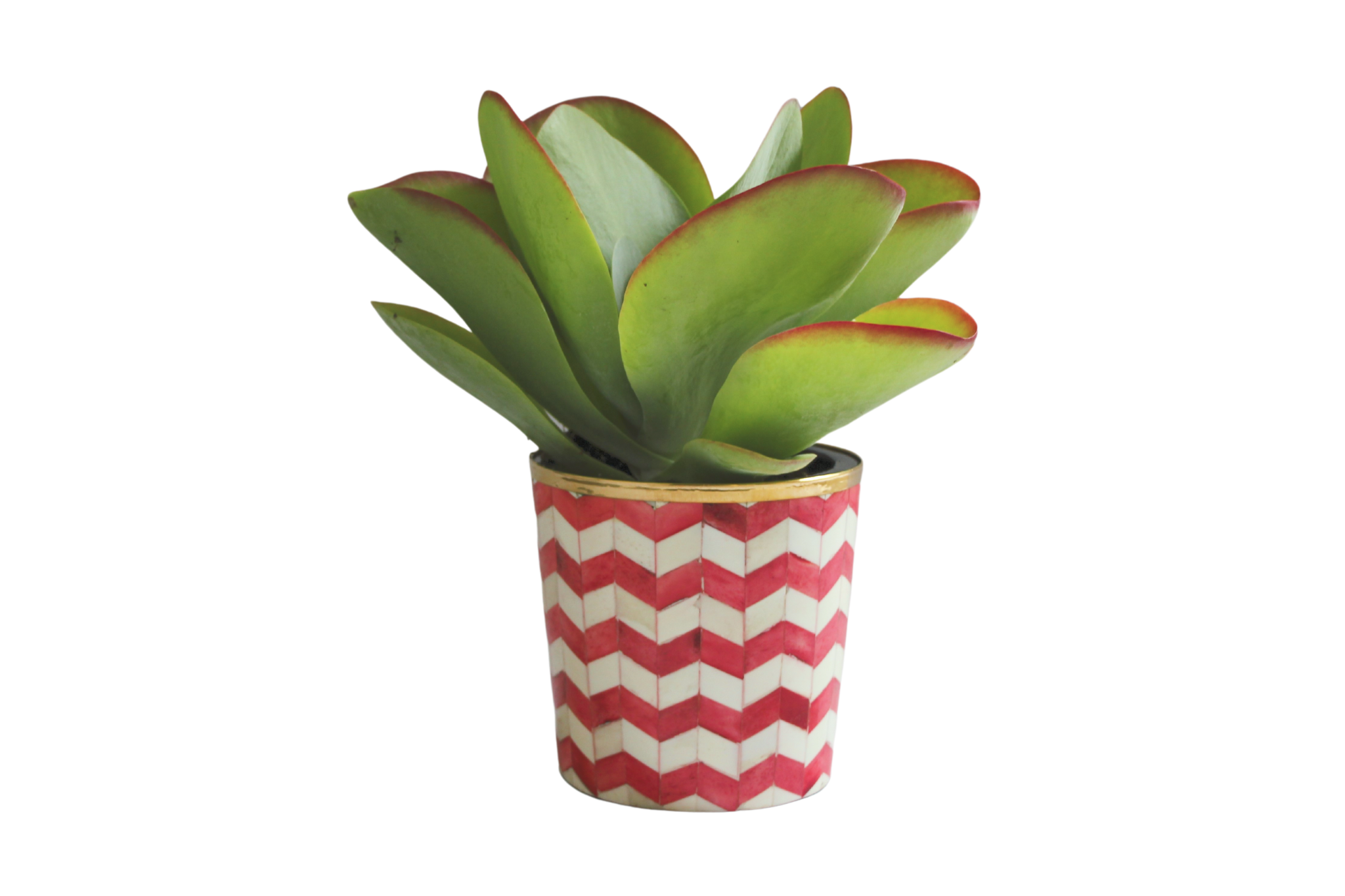 Round Inlay Planter | Medium | Red | Chevron