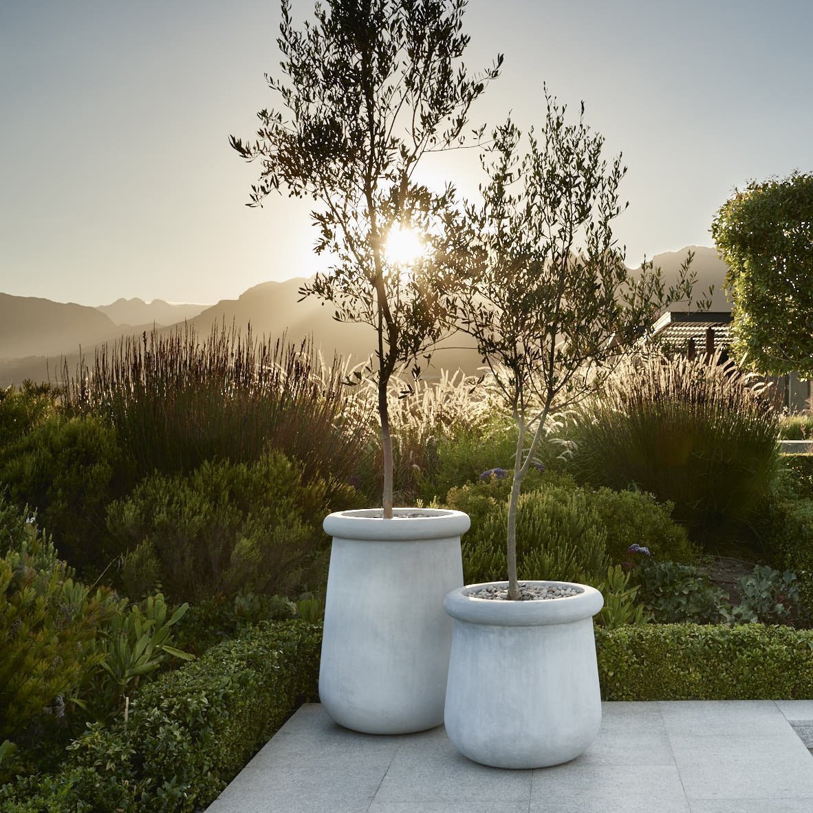Soma Planter Stone