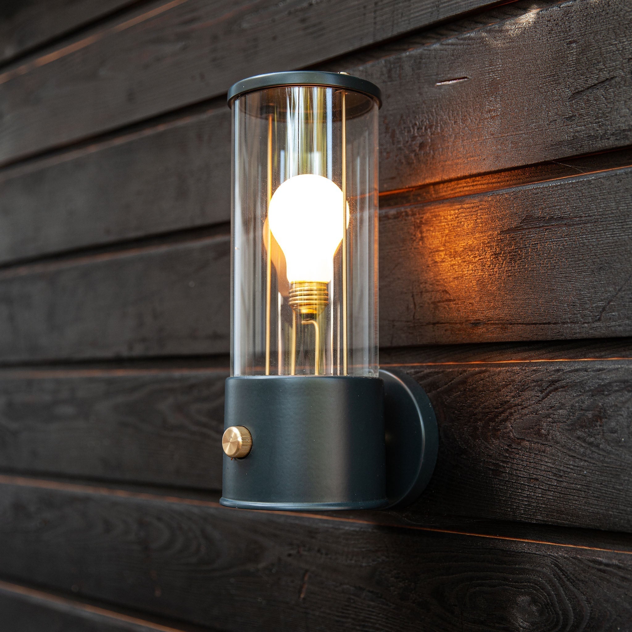 Muse Wall Light