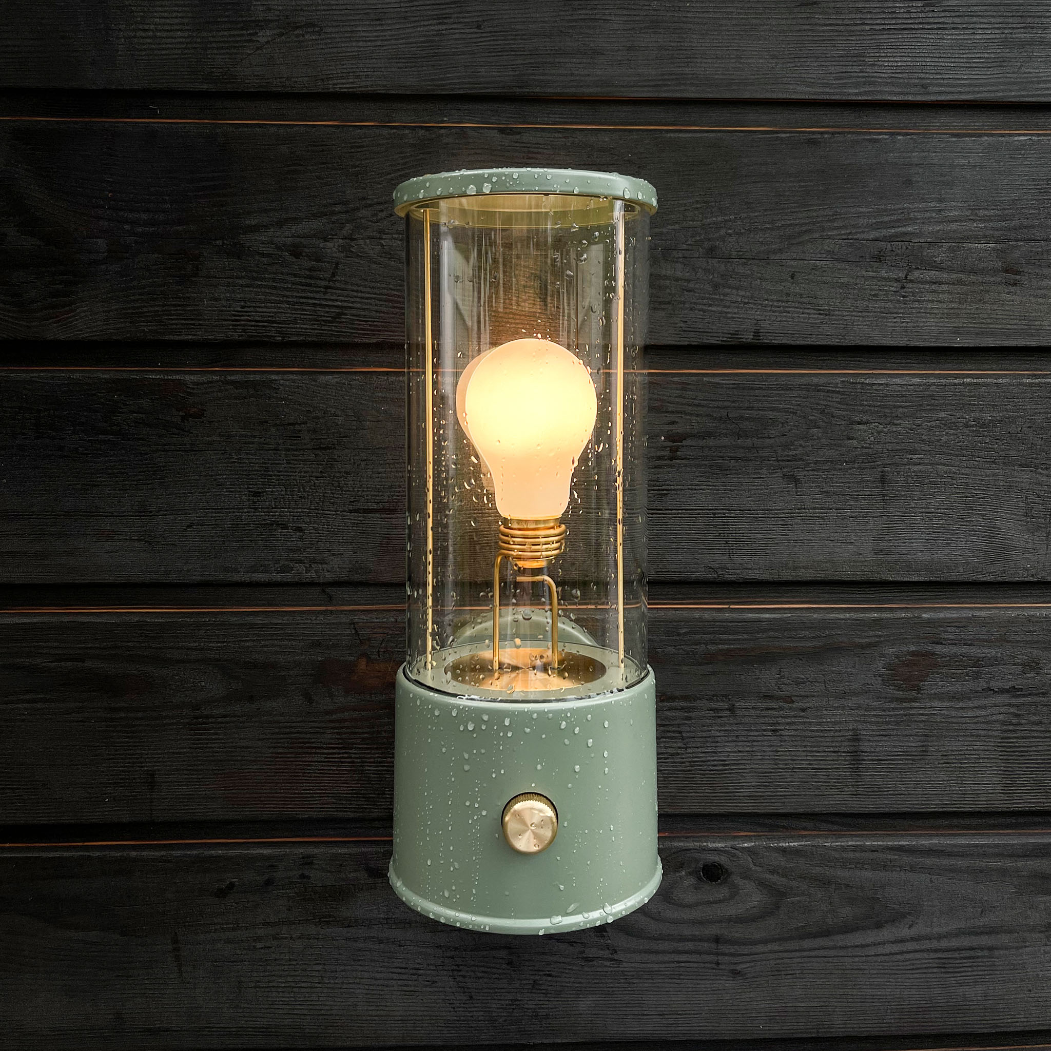 Muse Wall Light