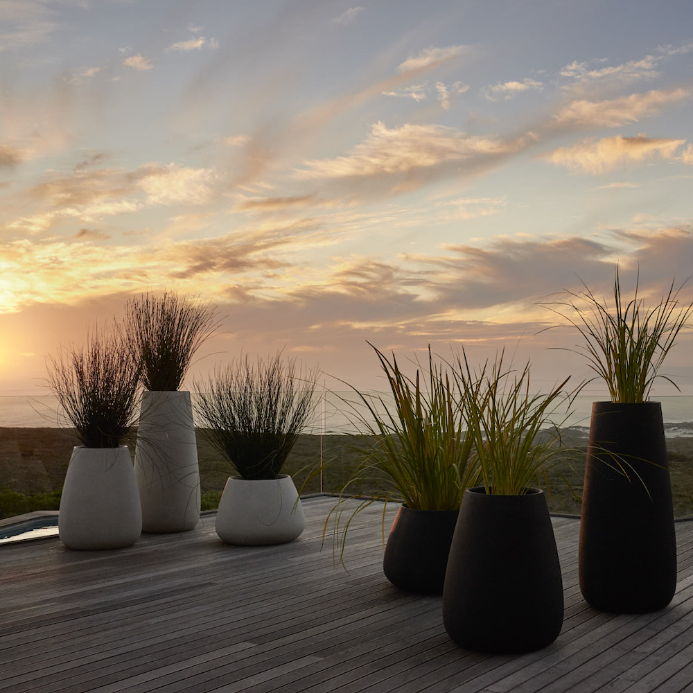 Tuber Stone Planter
