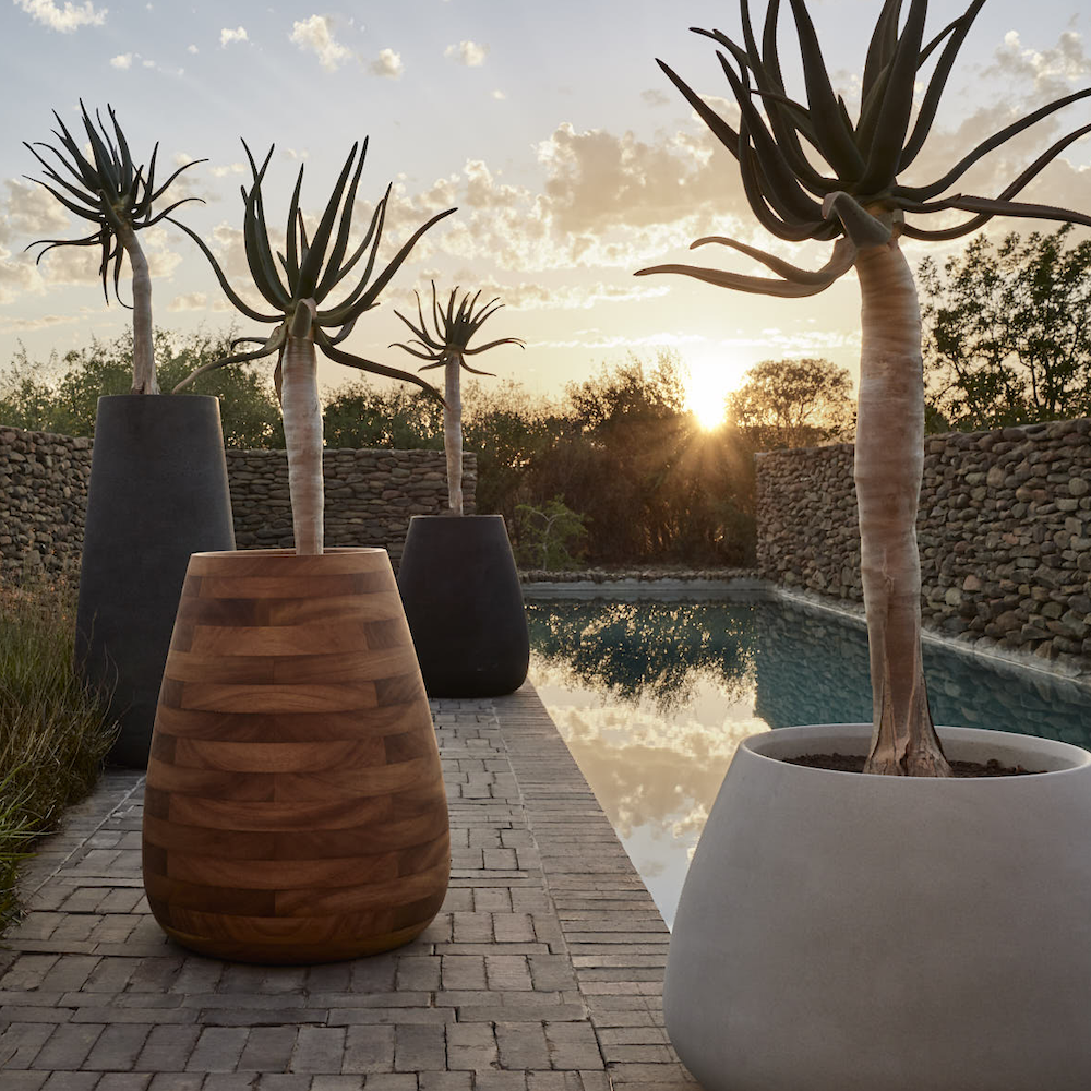 Tuber Stone Planter
