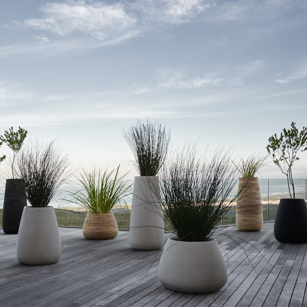 Tuber Stone Planter