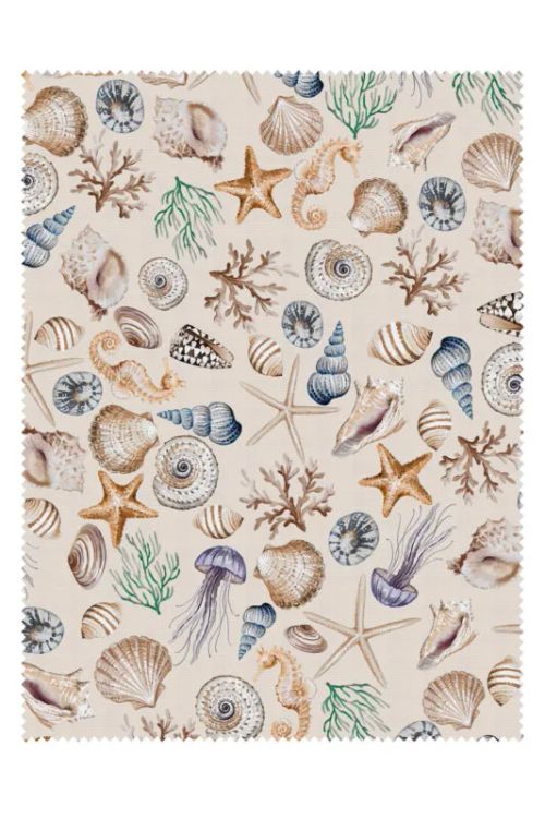 Charlotte Fabric