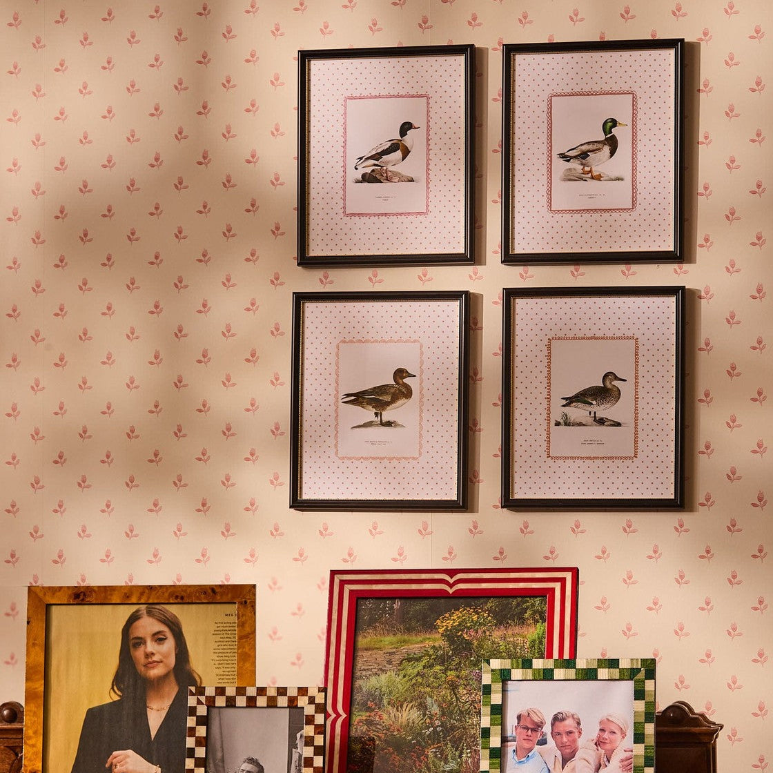 Duck I Vintage-Style Framed Print