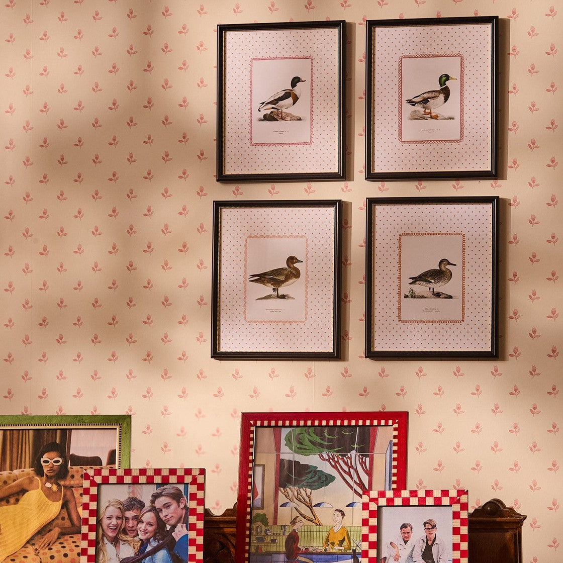 Duck II Framed Print