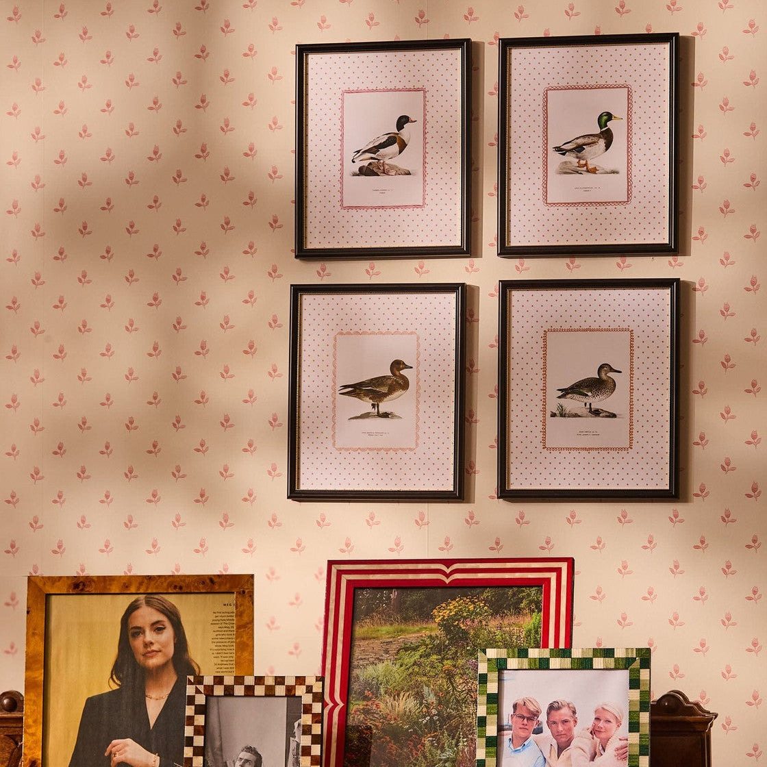 Duck II Framed Print