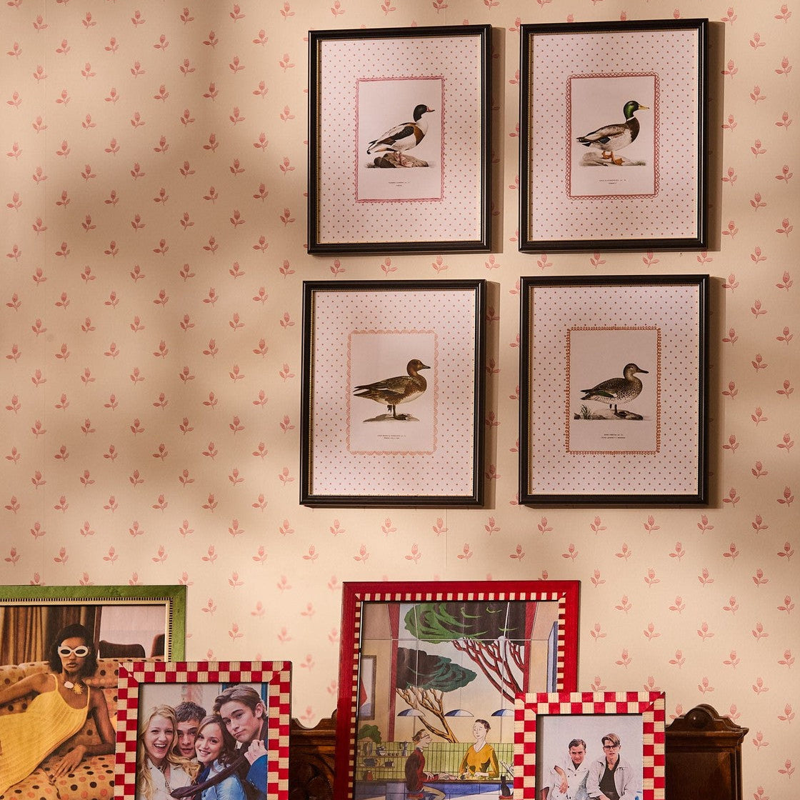 Duck IV Framed Print