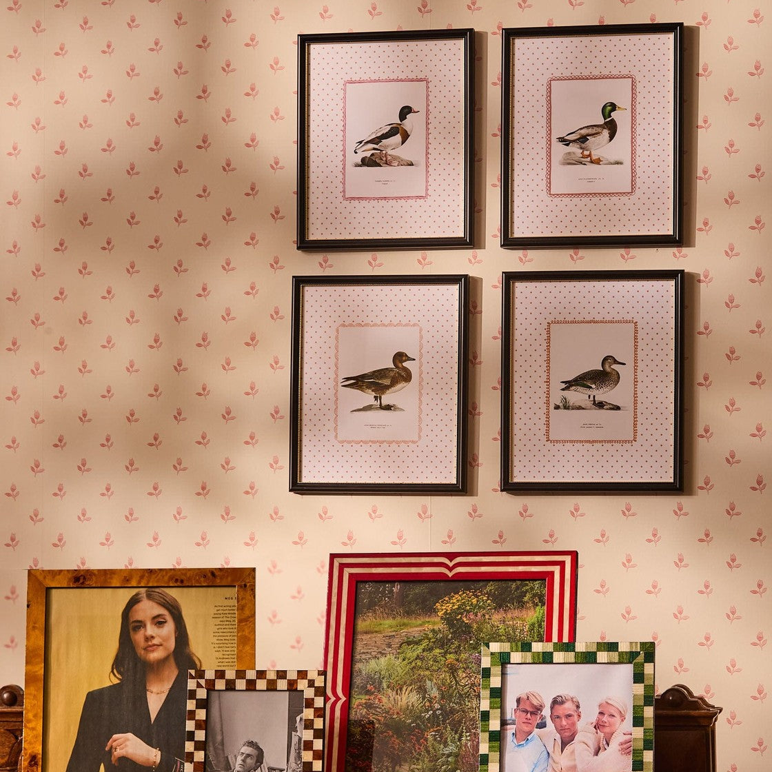 Duck IV Framed Print