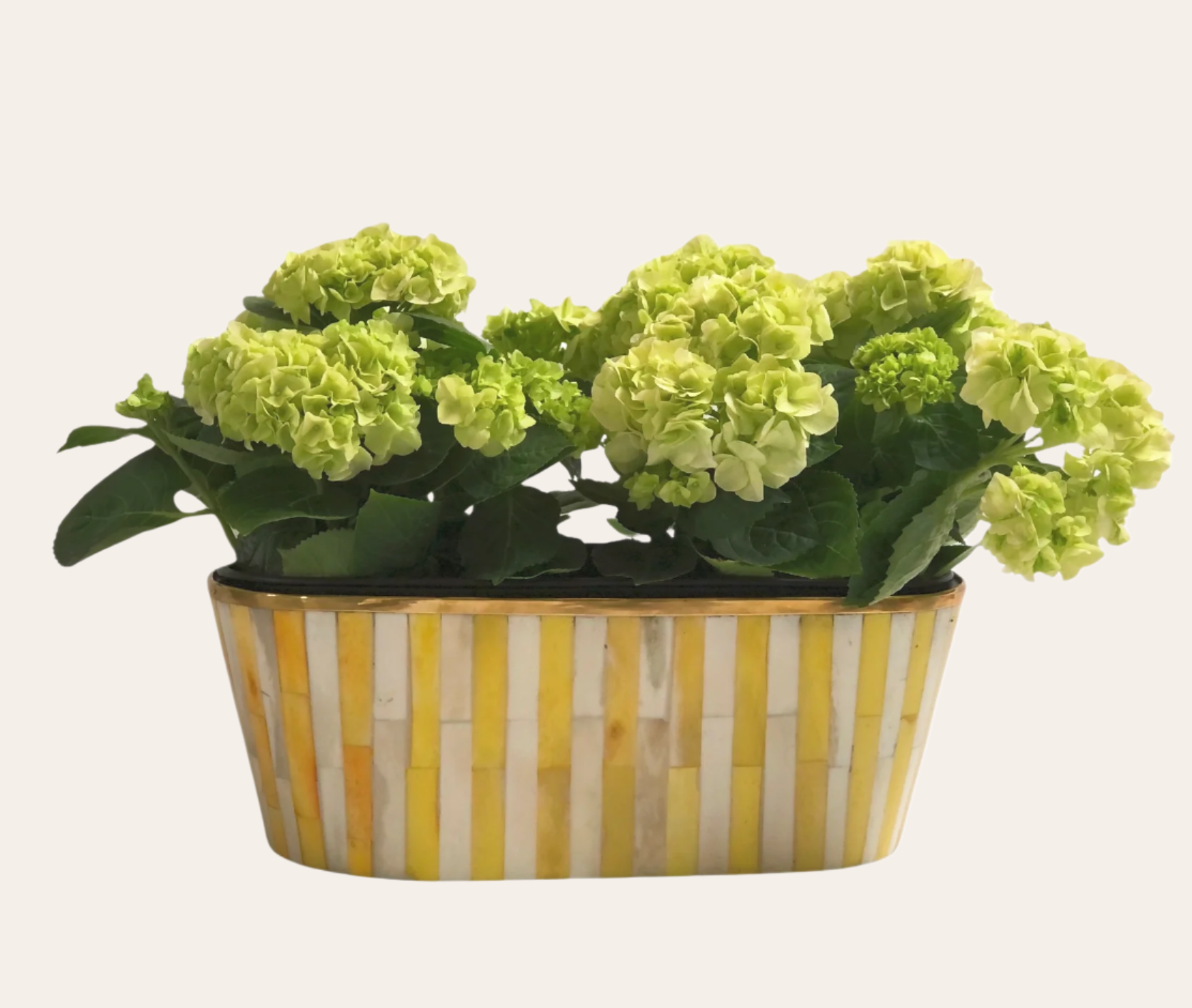 Oblong Inlay Planter | Large | Yellow | Striped