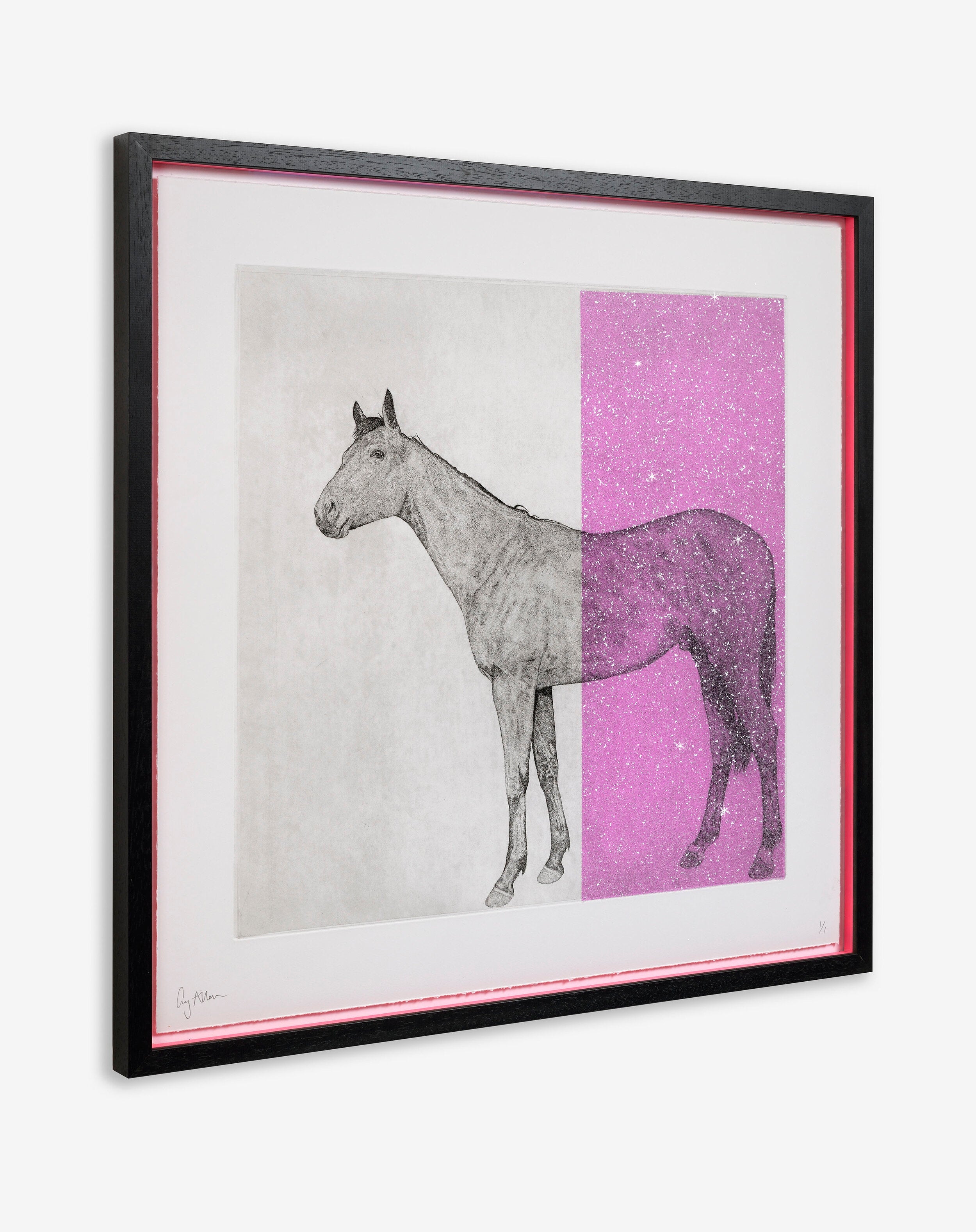 Horse Study with Kelling Designs Magenta