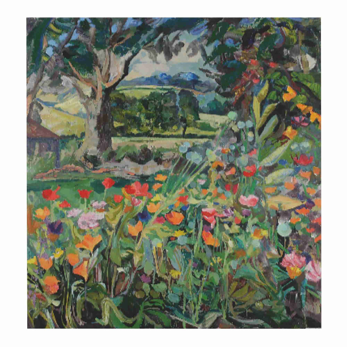 Poppies', Fine Art Print