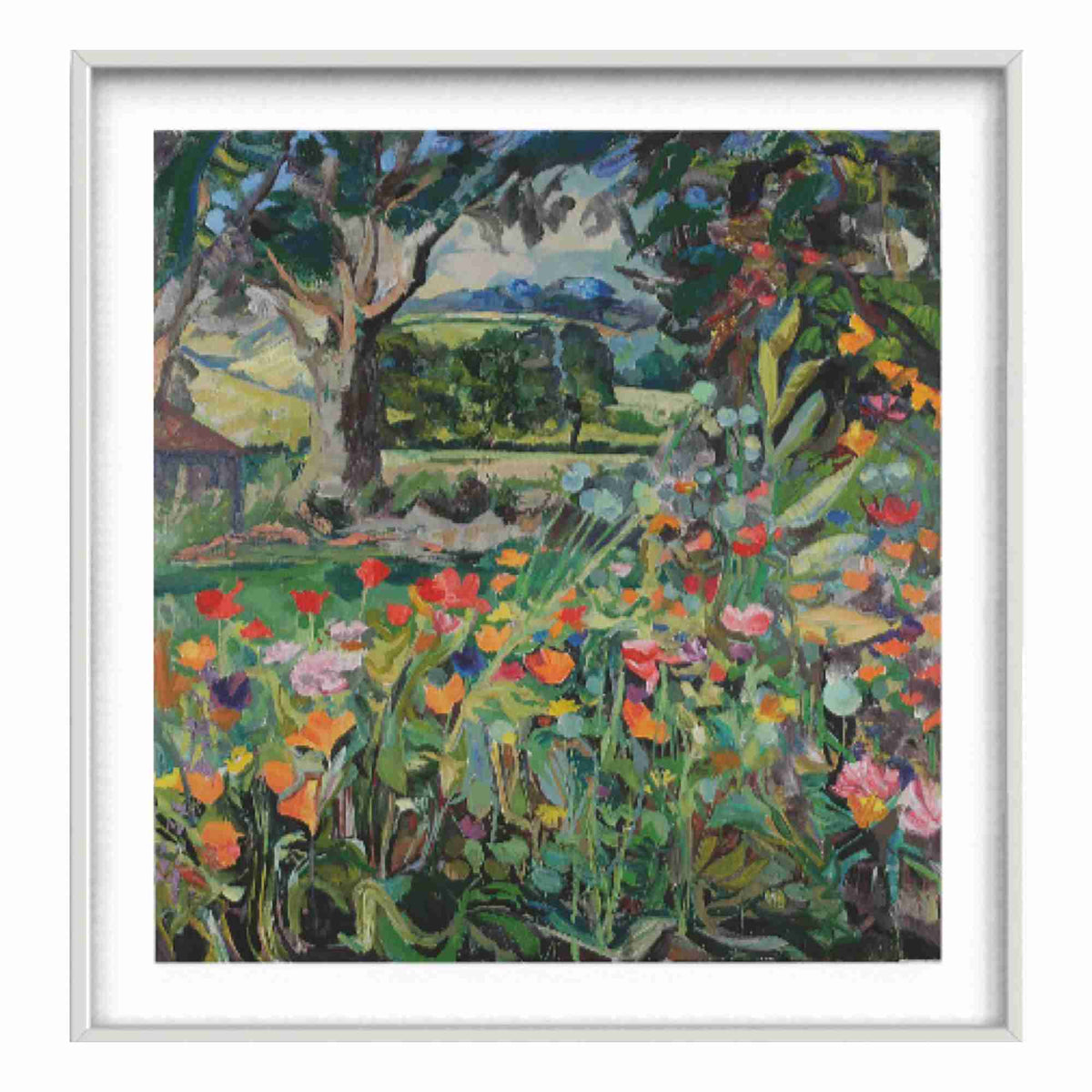 Poppies', Fine Art Print