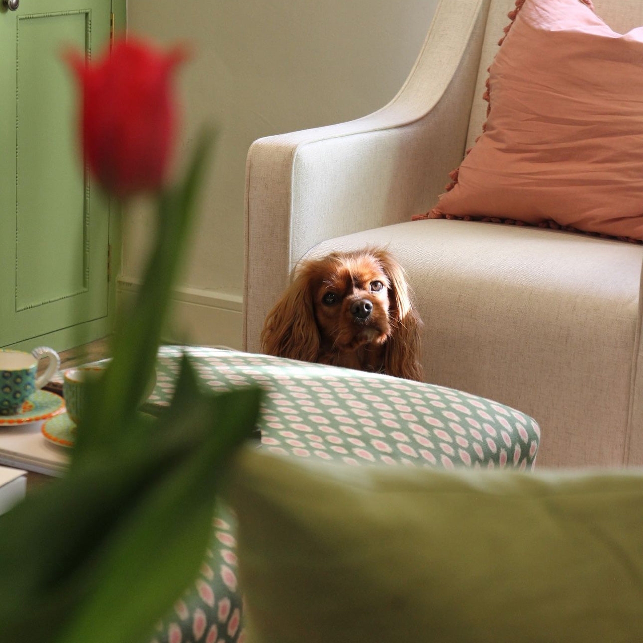 Polka Dot | Green & Light Pink