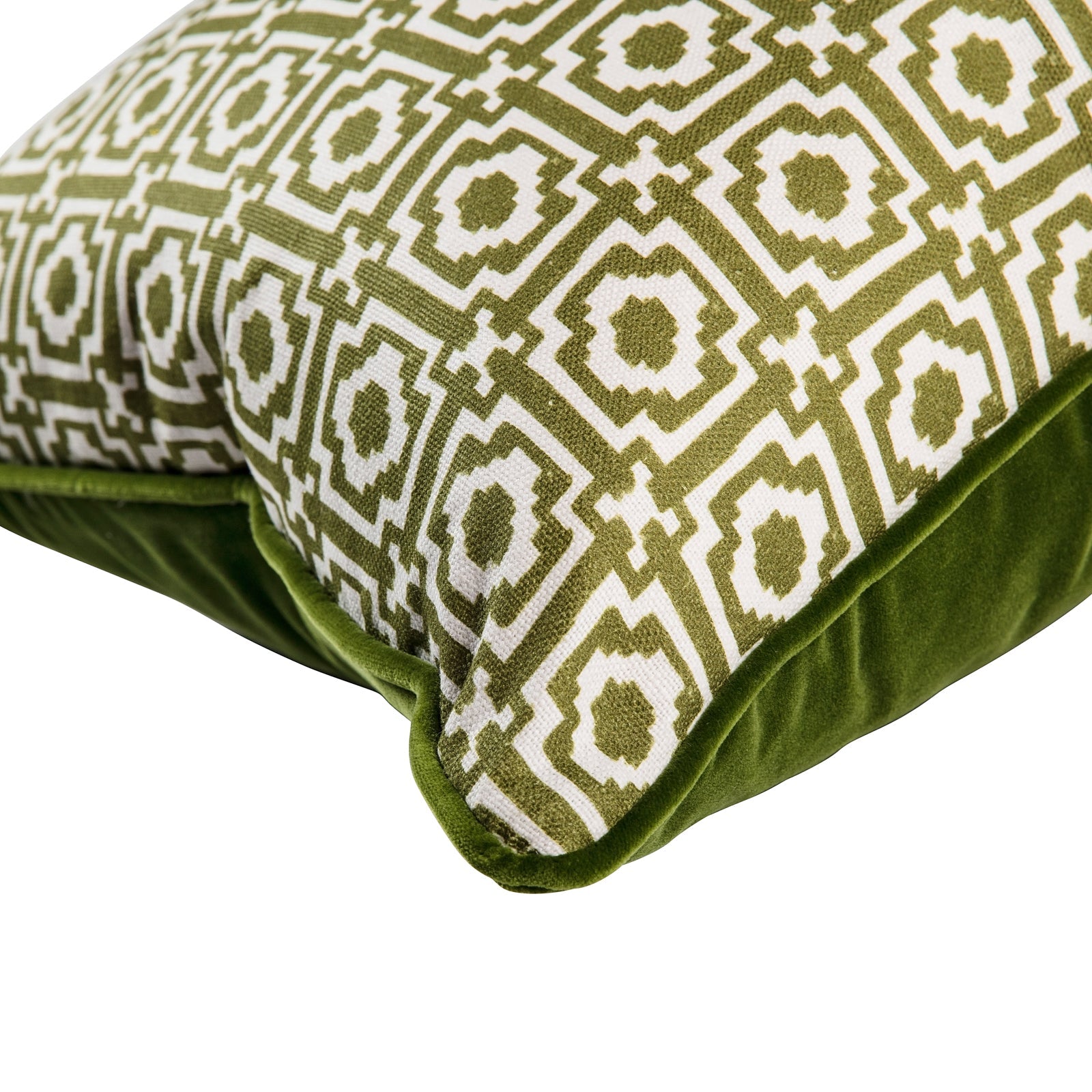 Alotablots Cushion in Peridot with Peridot velvet back and piping