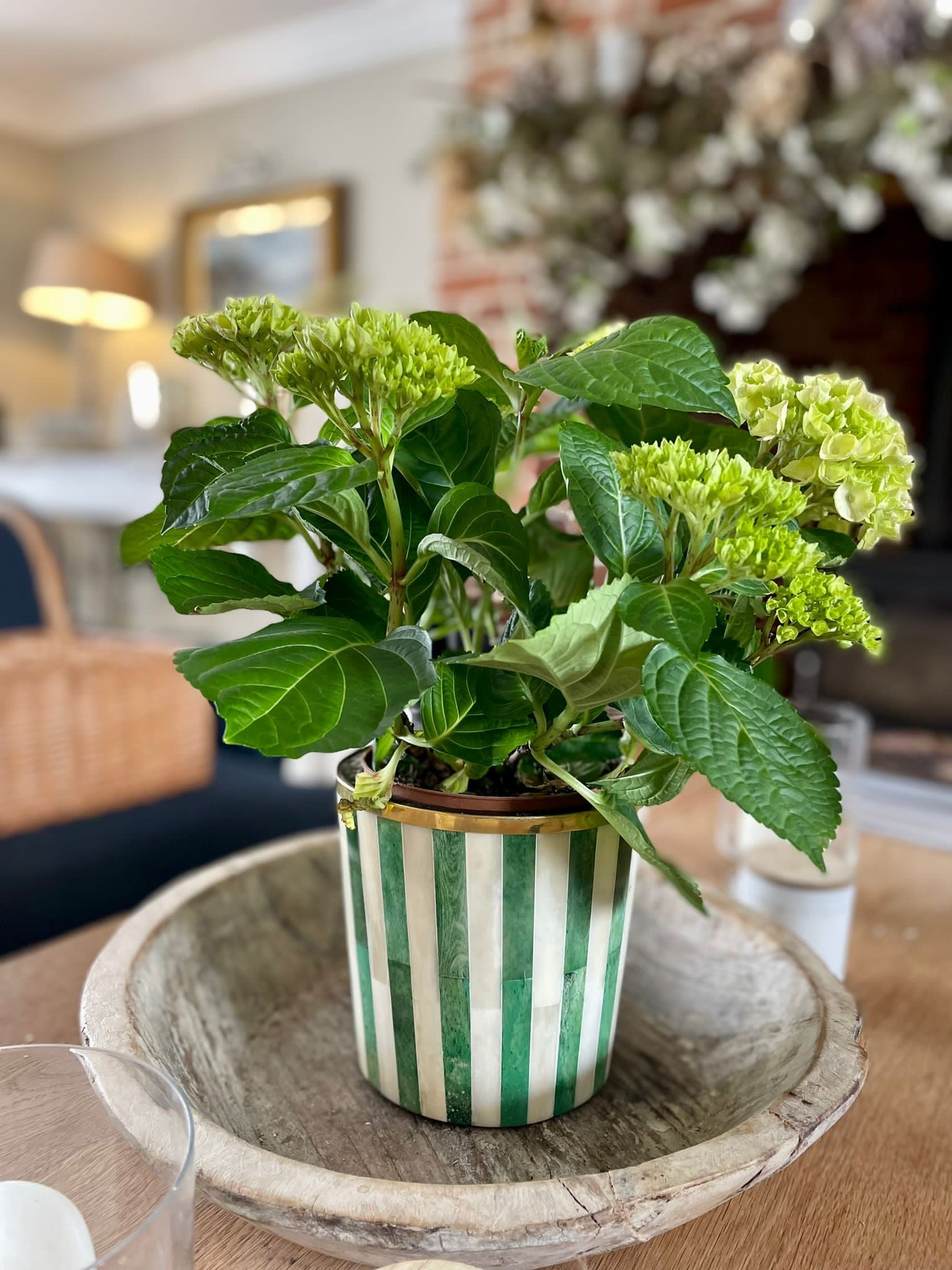 Round Inlay Planter | Medium | Green | Striped