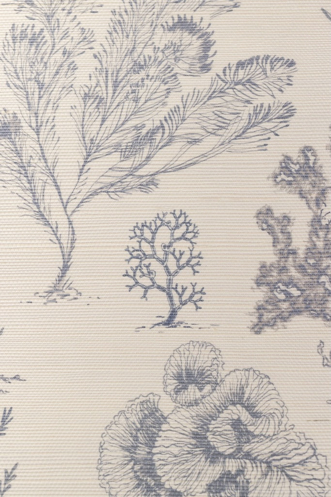 Coral Etchings Wallpaper - OCEAN