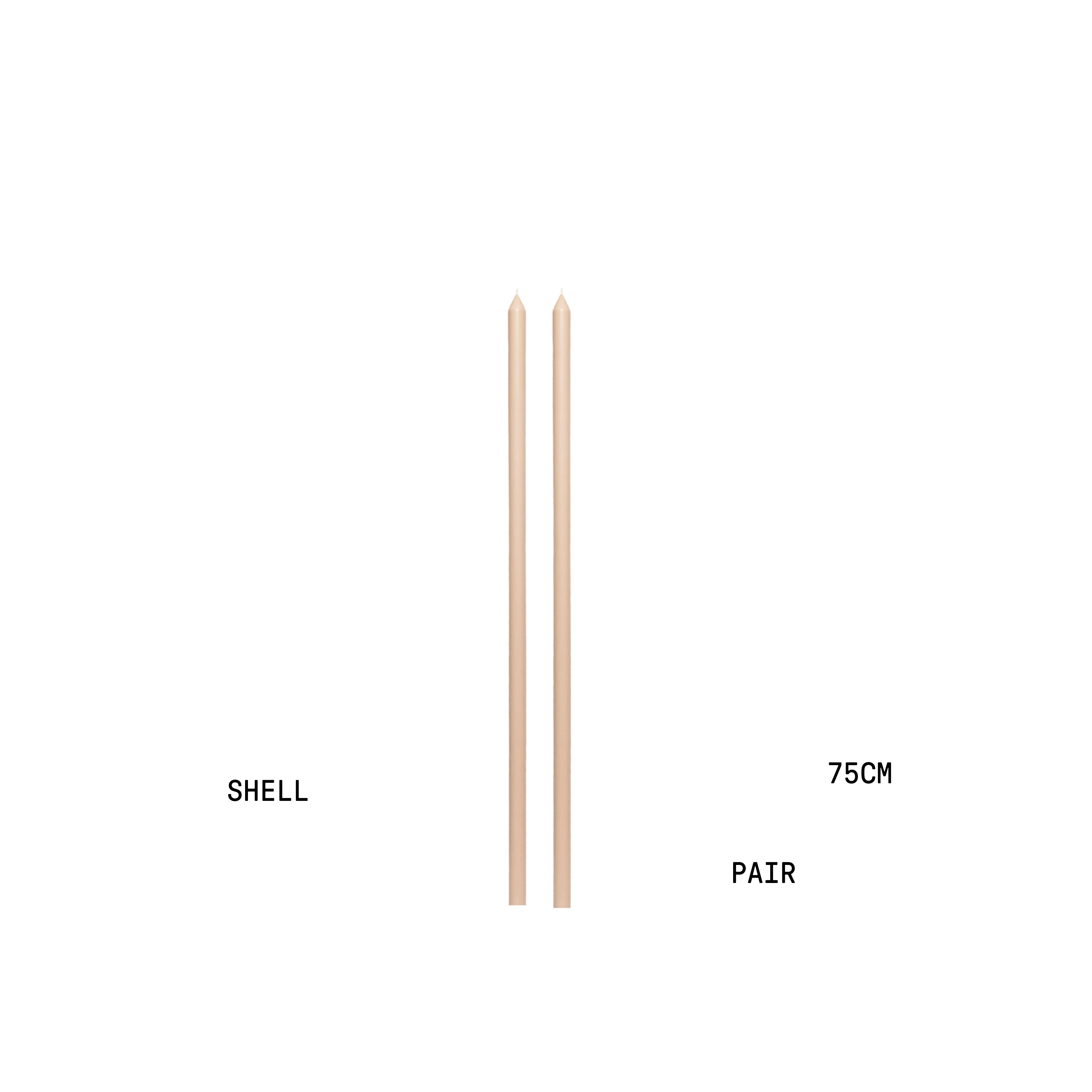 Shell Tapered Candle Pair