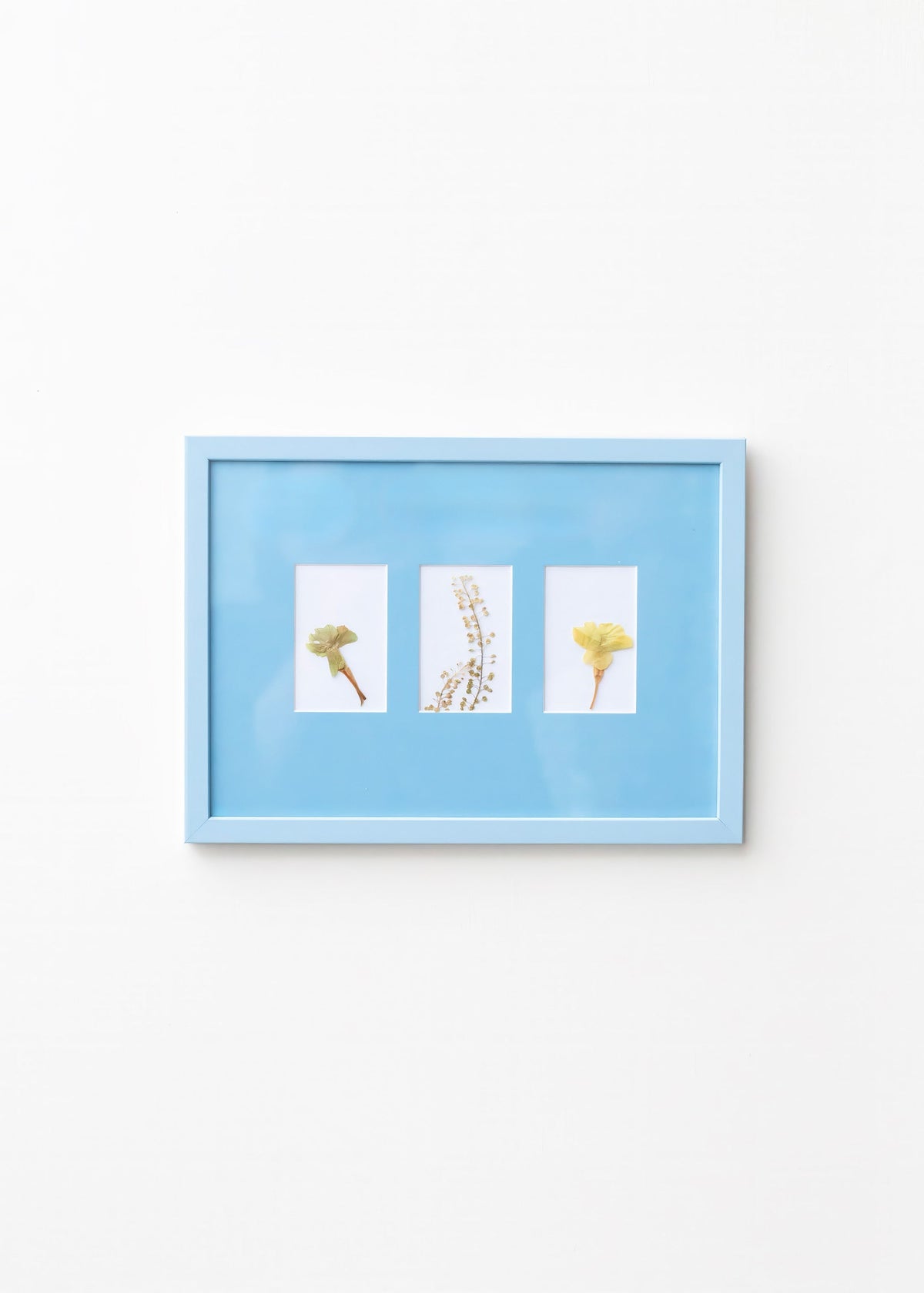 Sky Blue A4 Instax Mini x 3 Picture Mount