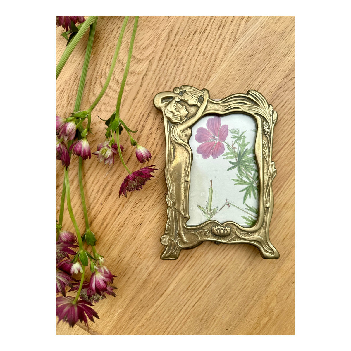 ANTIQUE BOTANICAL IN ART NOUVEAU FRAME