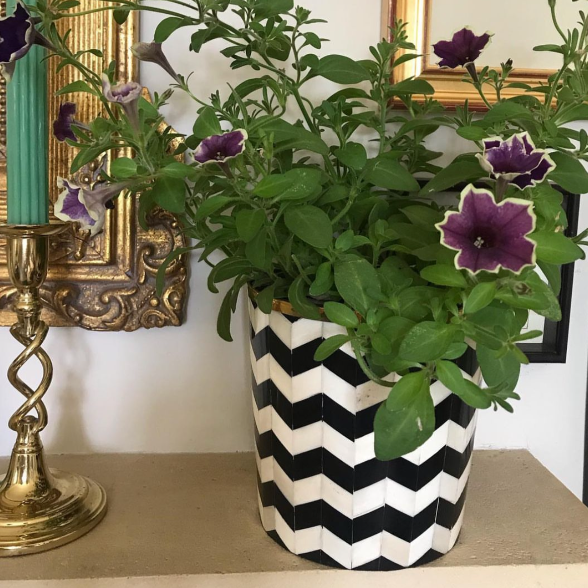Round Inlay Planter | Medium | Black | Chevron