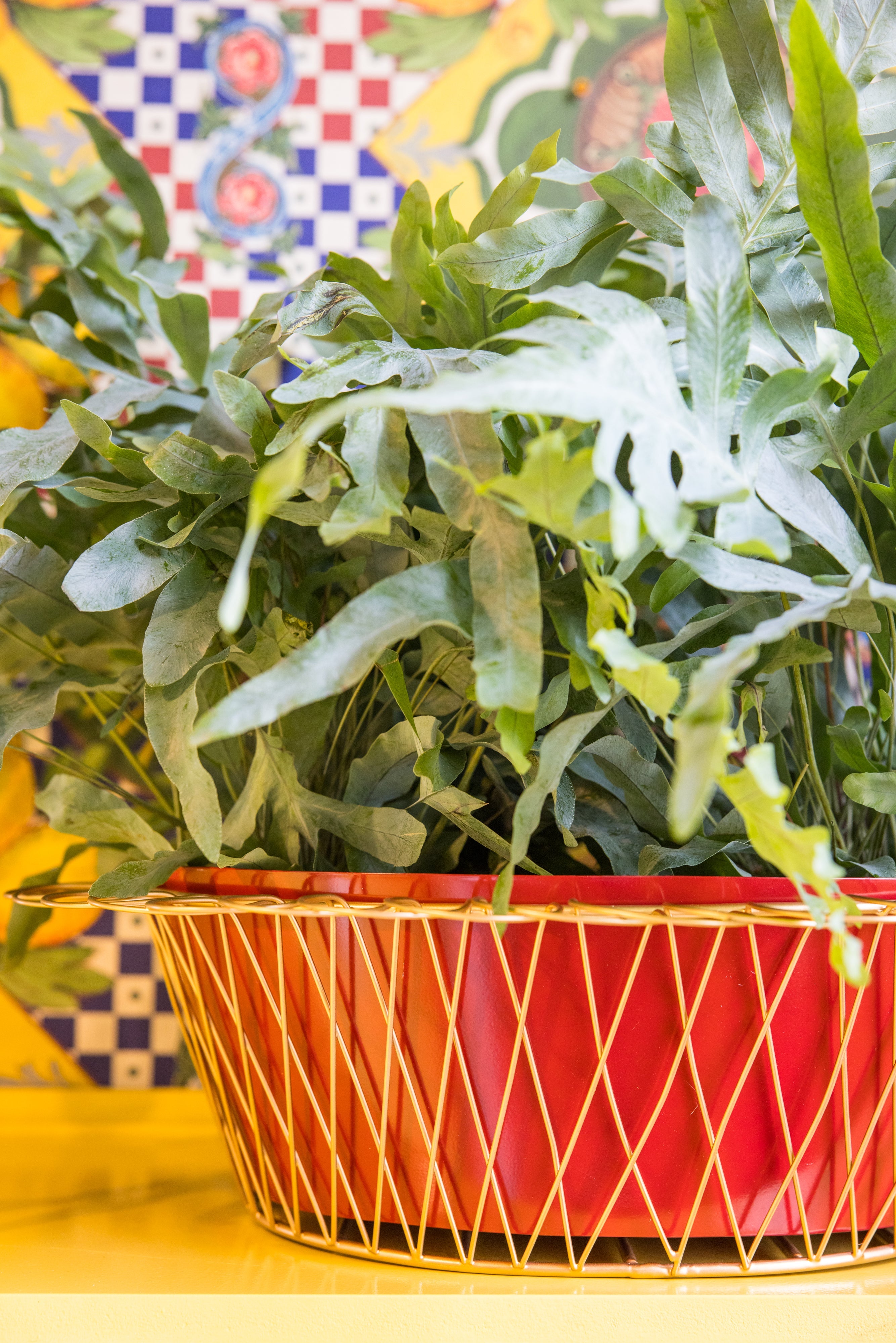 Wire Basket Planter | Cherry Red & Gold