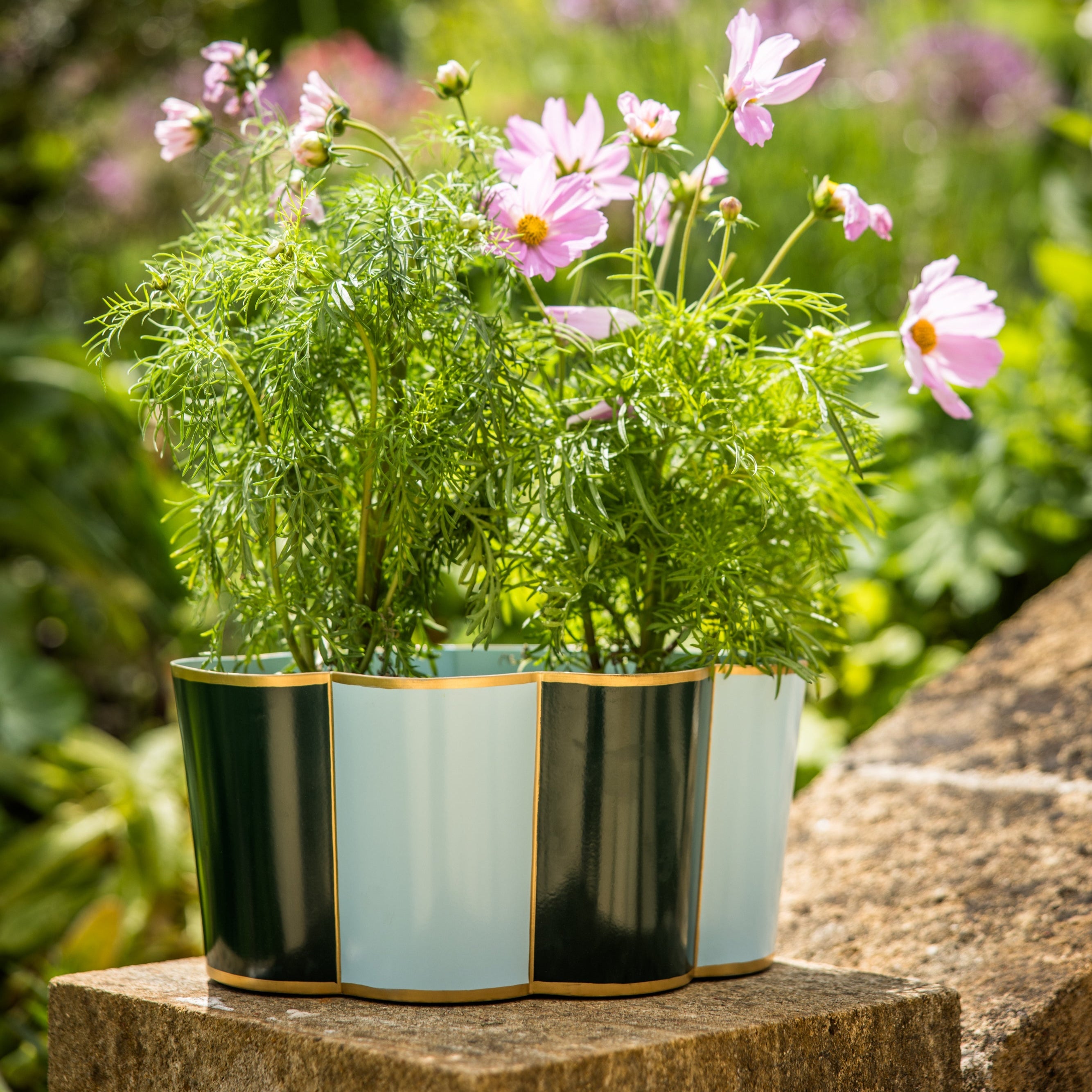 Rounded Scalloped Planter | Large | Forest Green & Powder Blue | Striped