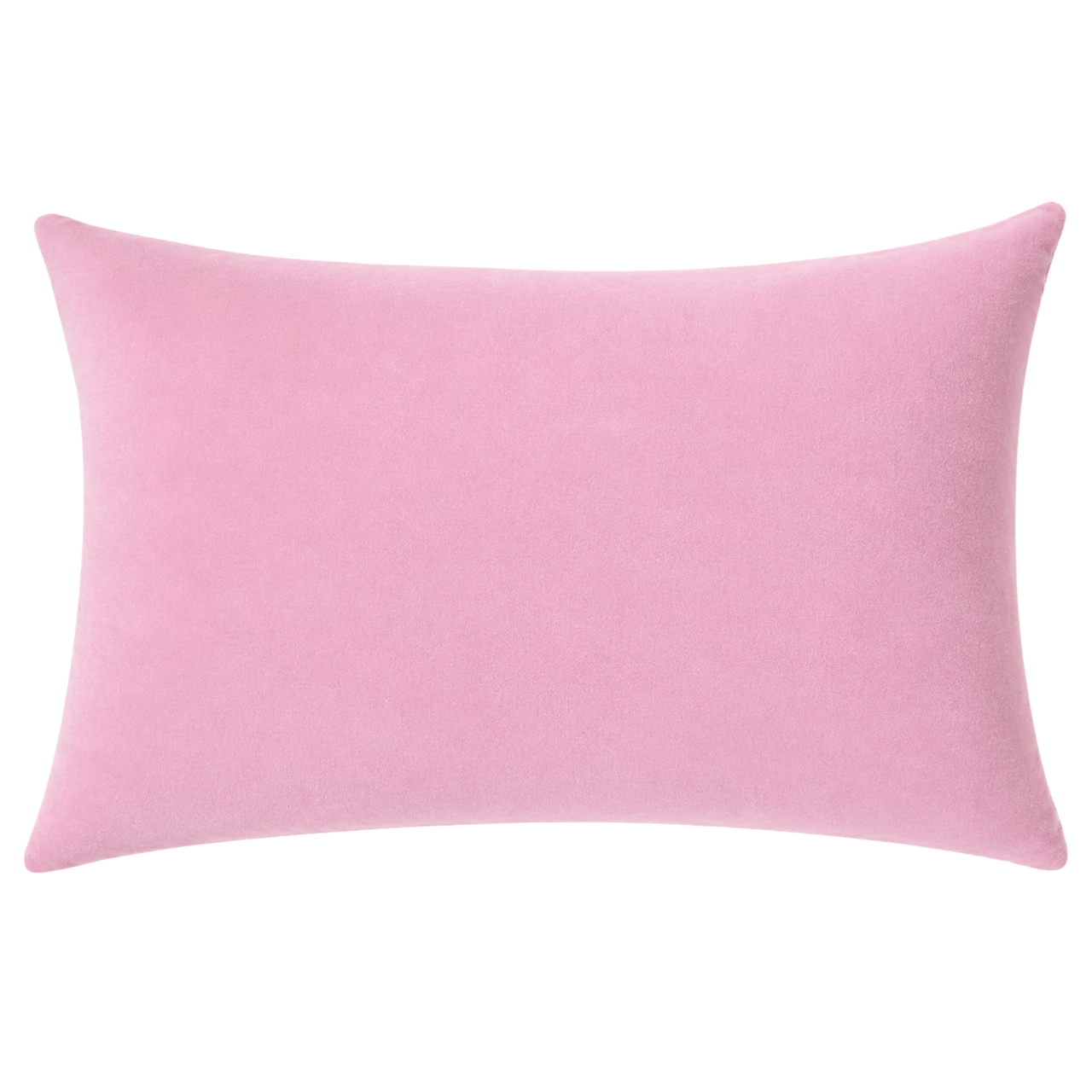 PREORDER Slogan Needlepoint Pillow - Hot Girls Drink Matcha