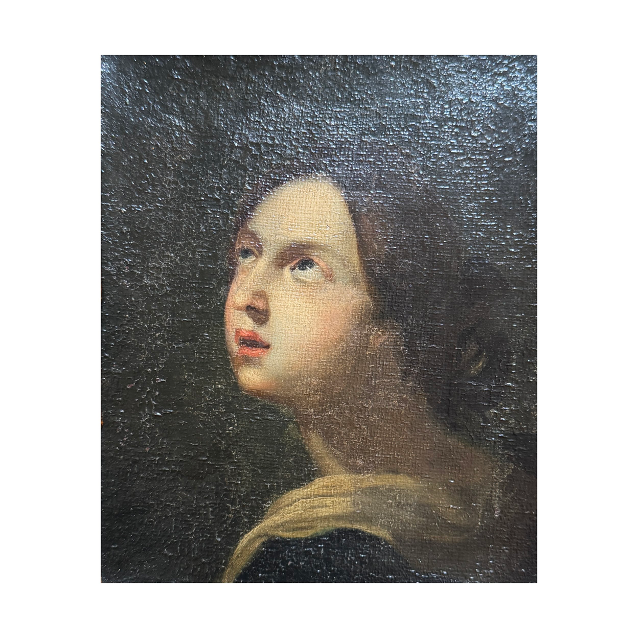 PORTRAIT OF A LADY