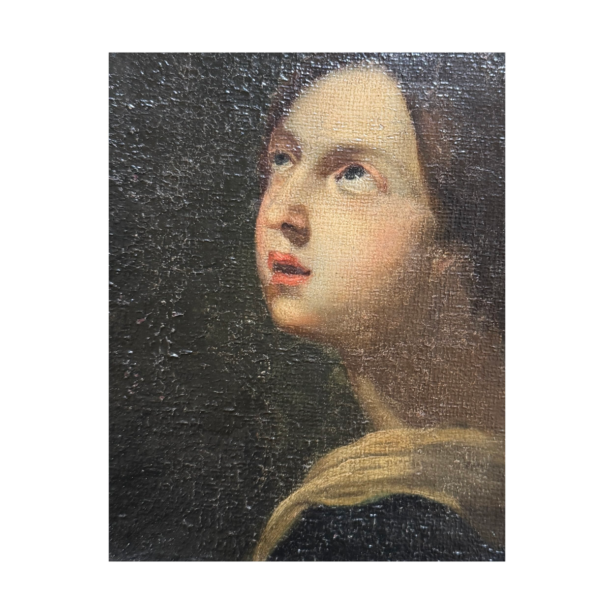 PORTRAIT OF A LADY