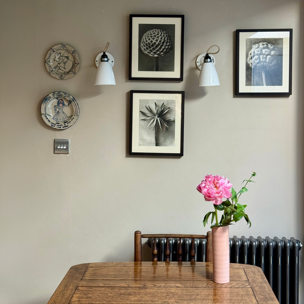 Karl Blossfeldt: Dogwood Photogravure