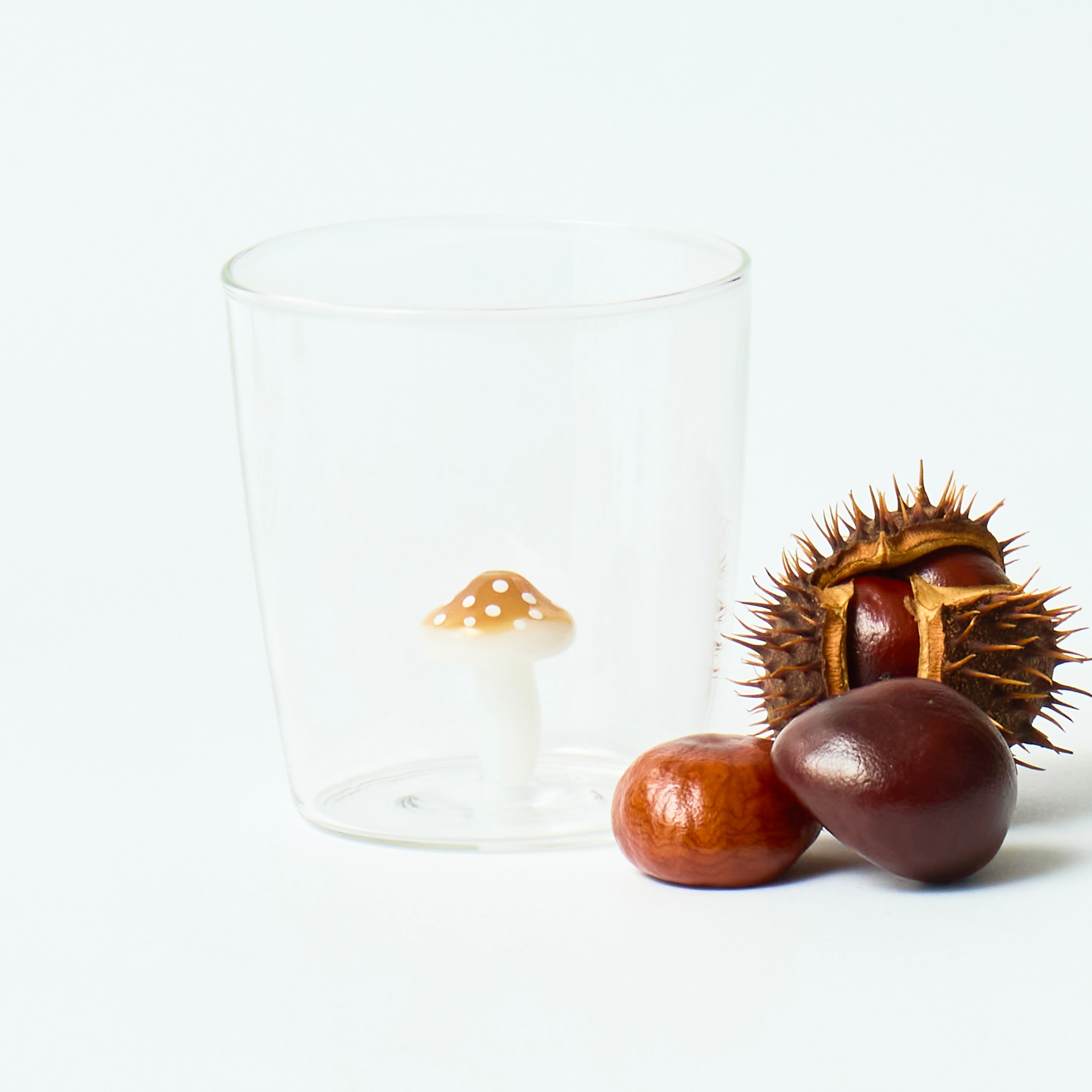 Orange Shroom Glasses (Set of 4)