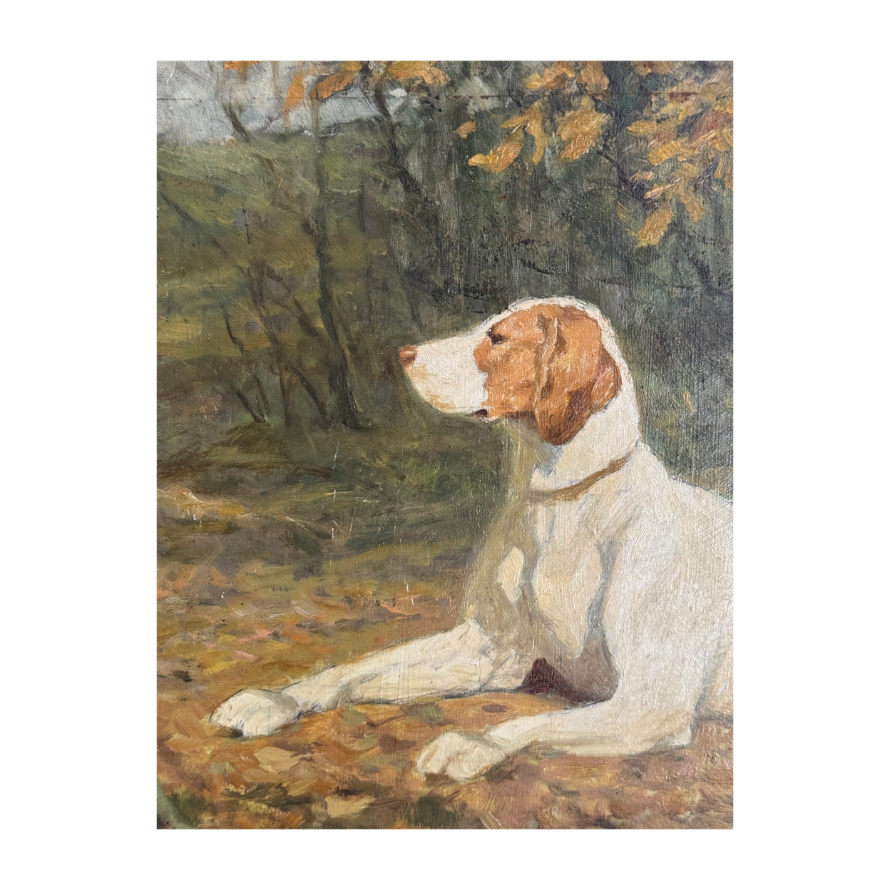 THE POINTER