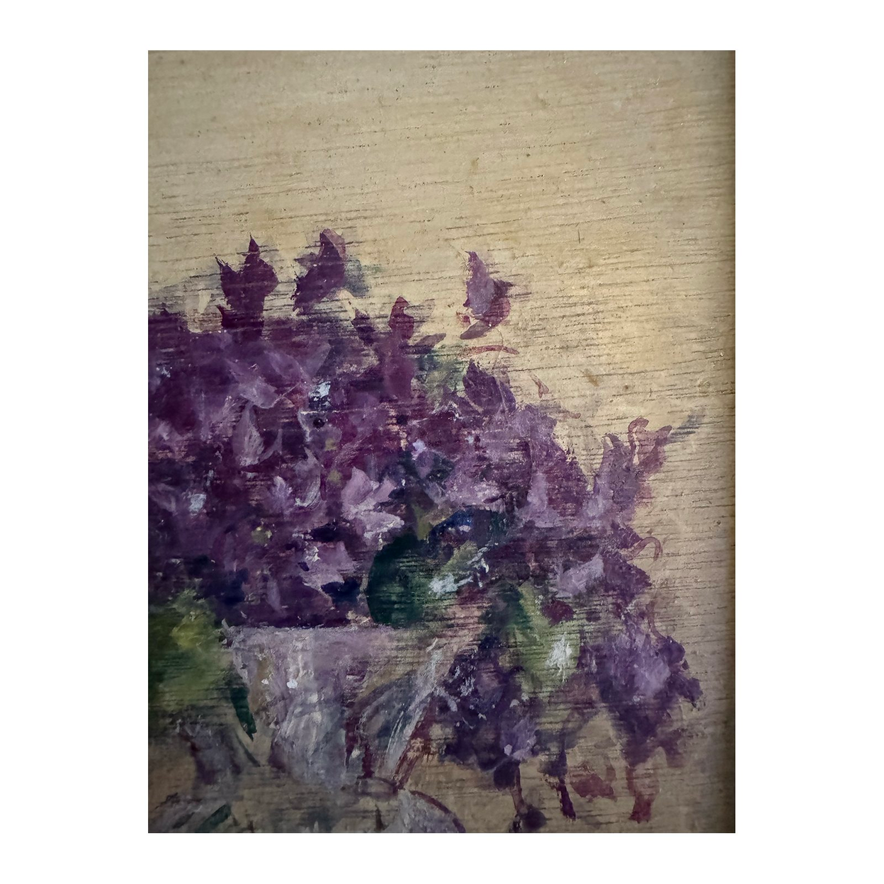 LES FLEURS VIOLETTES