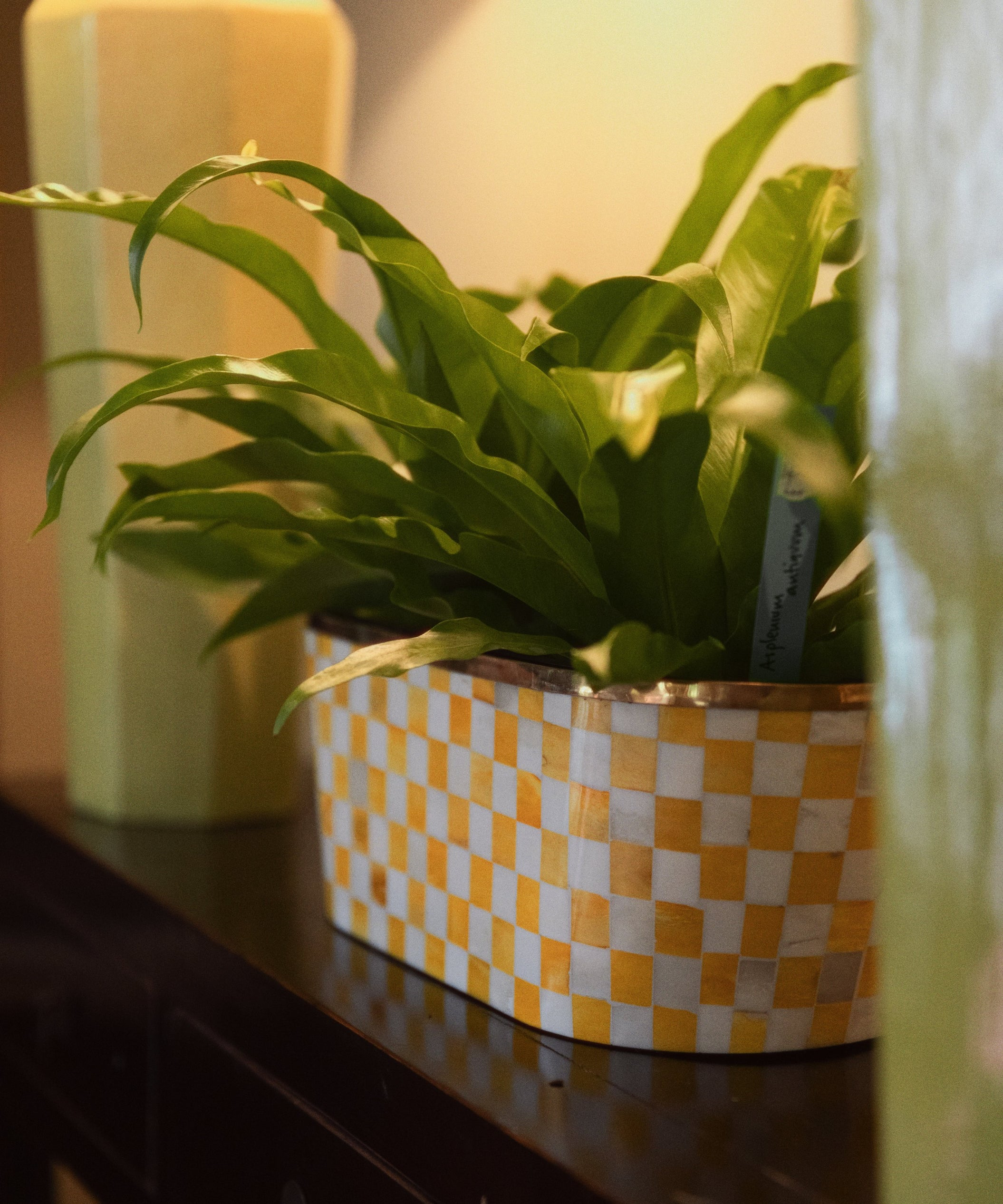 Oblong Inlay Planter | Large | Yellow |Chequered