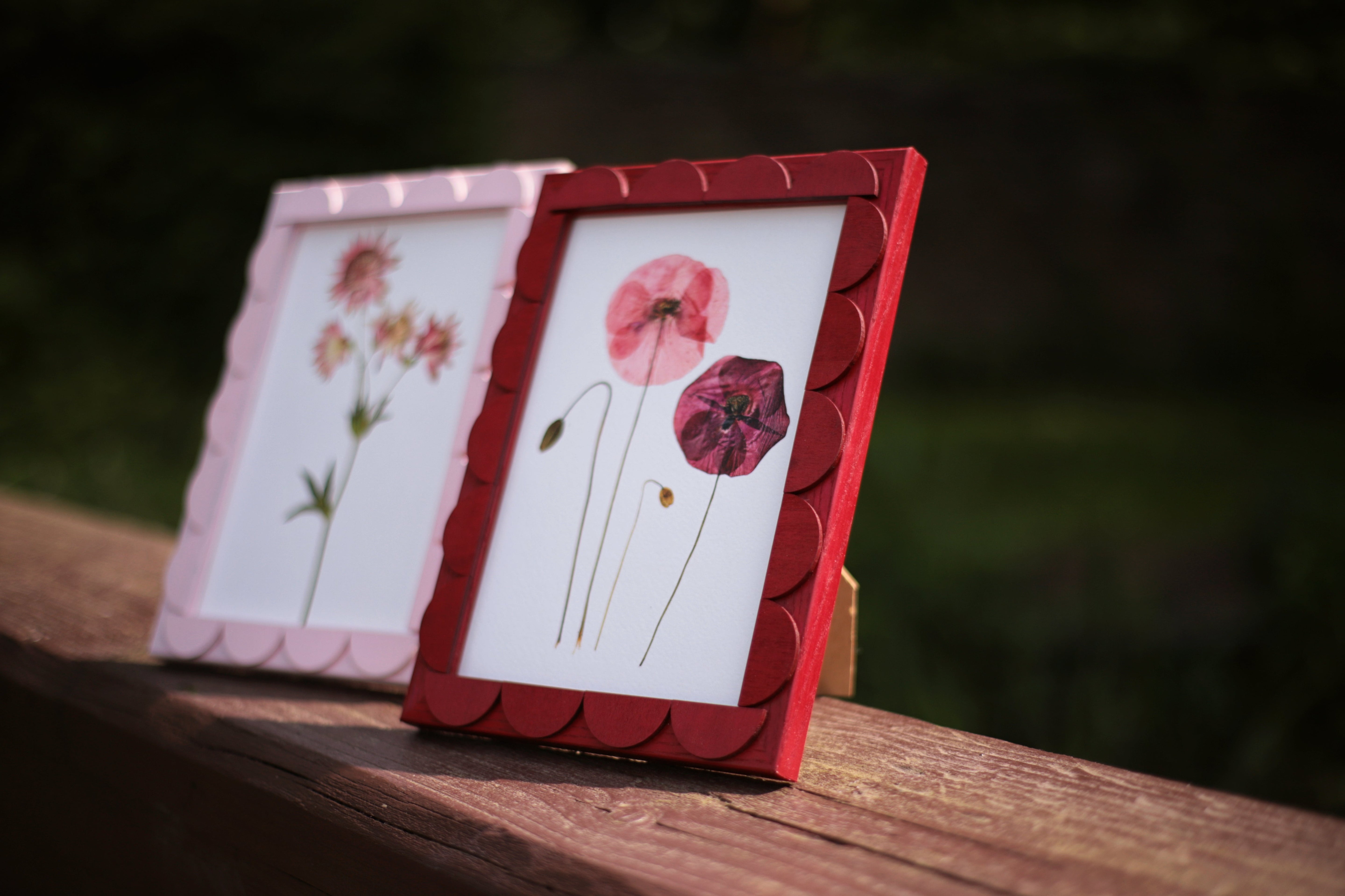 Cranberry Stained Scallop Frame