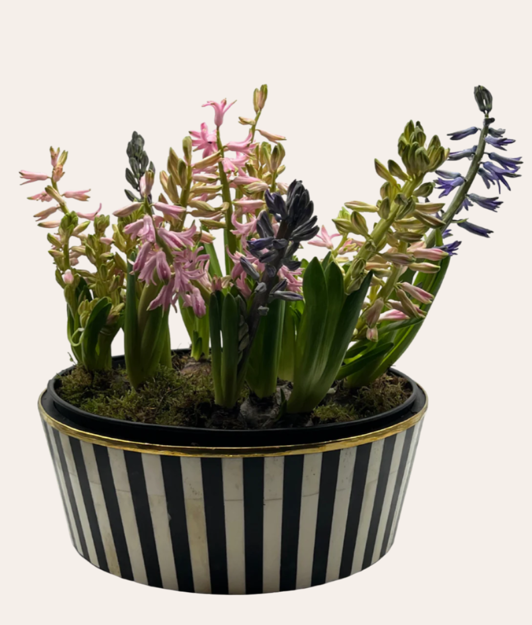 Round Inlay Planter | Large | Black | Striped