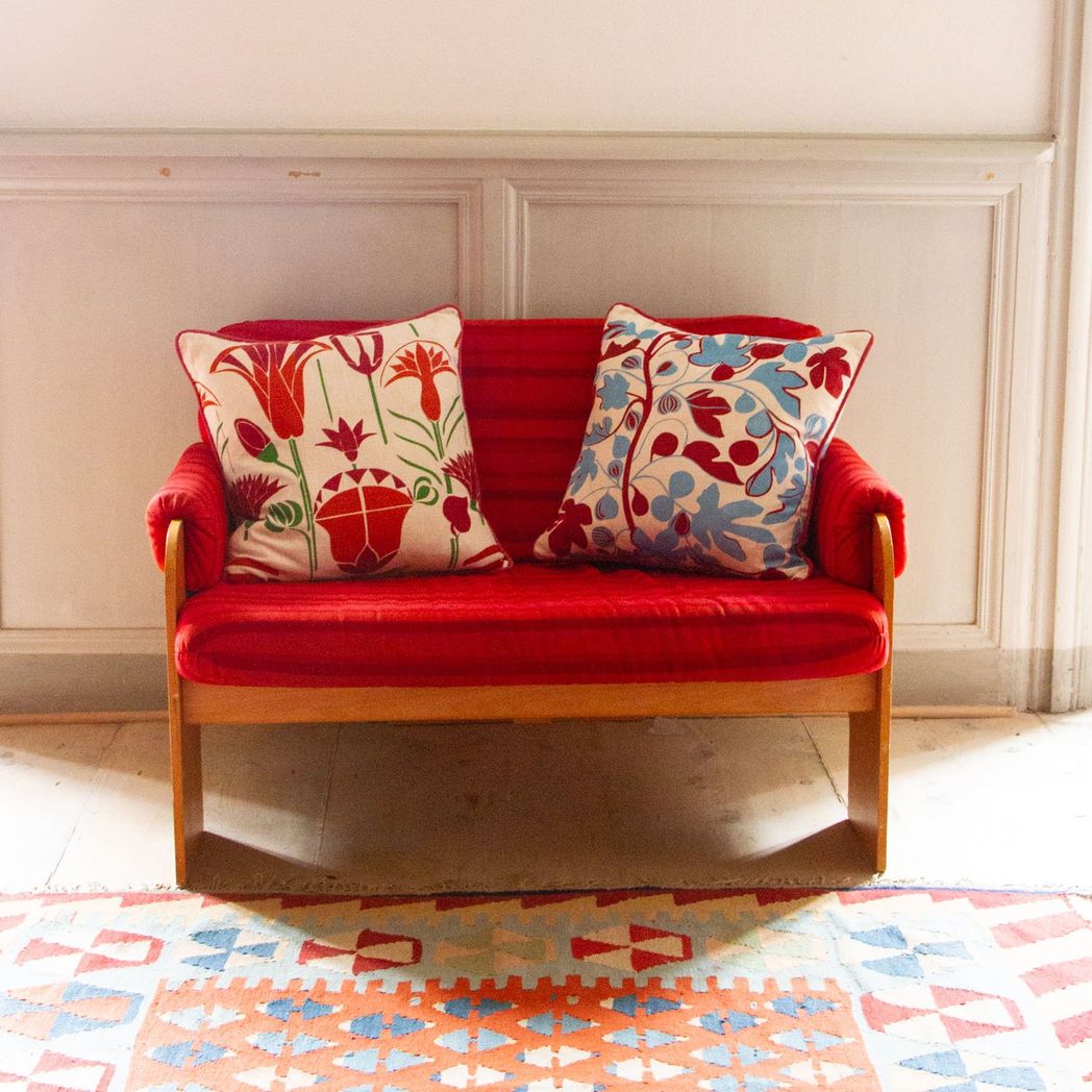 Figs Cushion | Red & Cornflower Blue