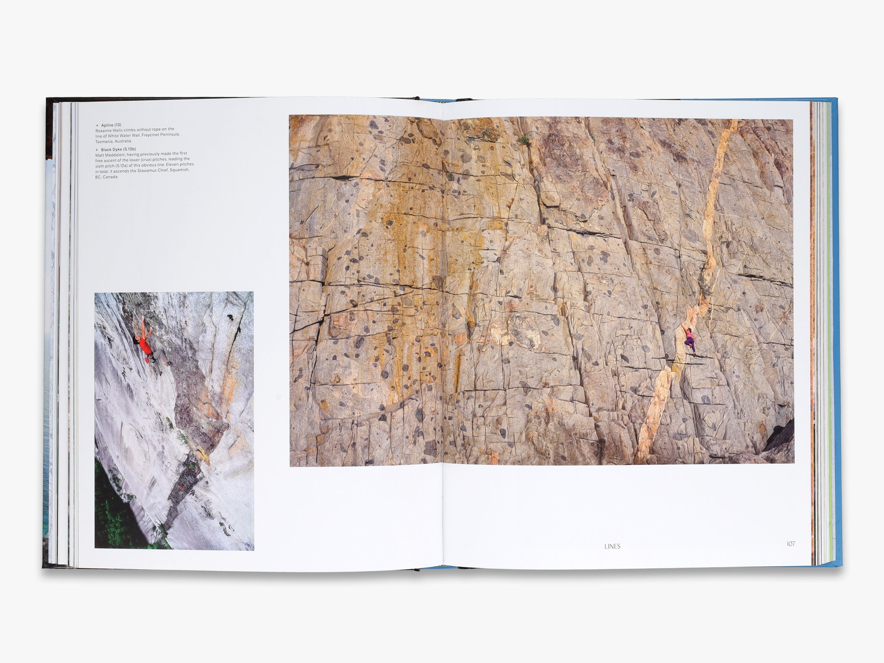 Pale Blue Coffee Table Books