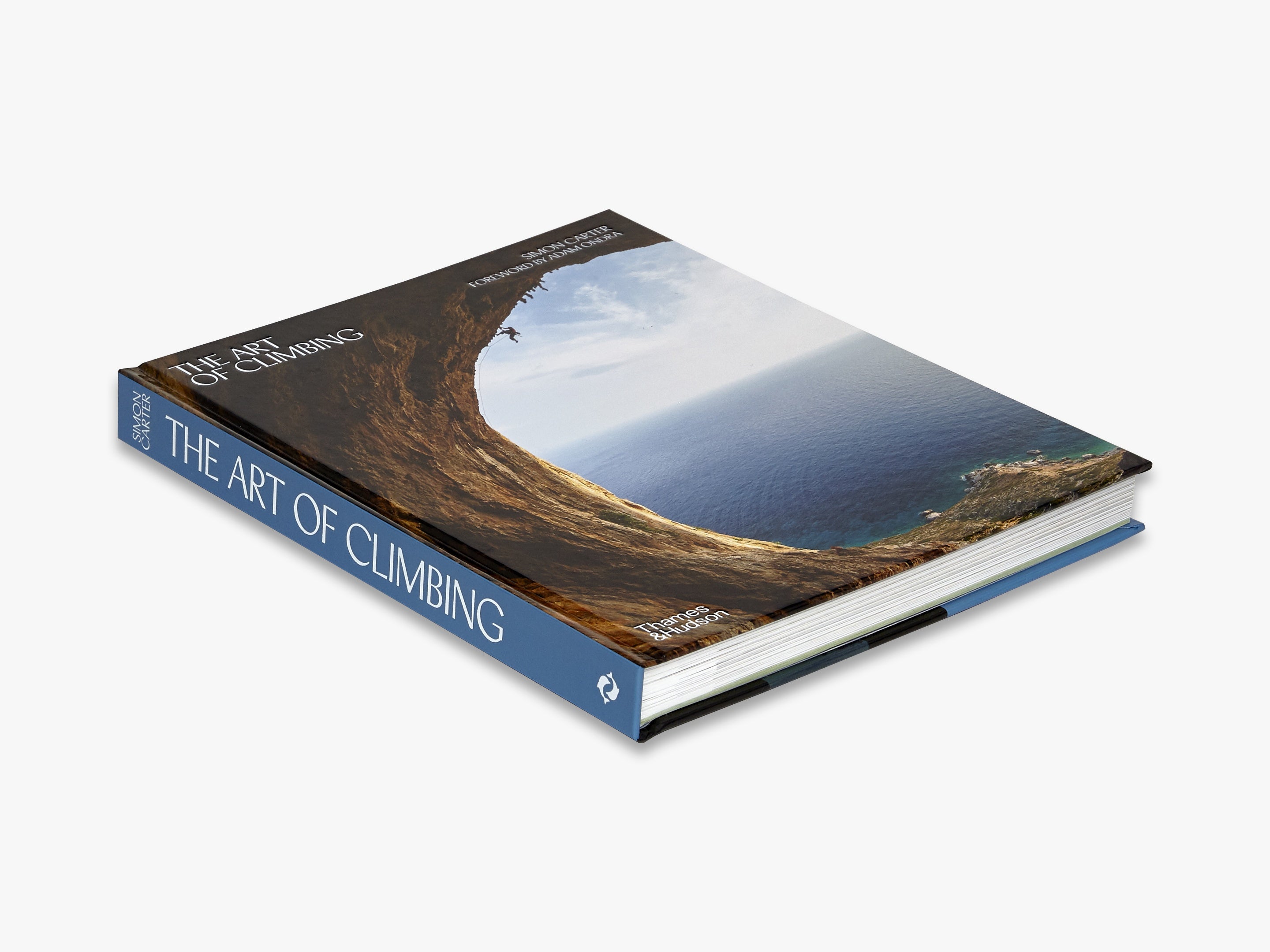 Pale Blue Coffee Table Books