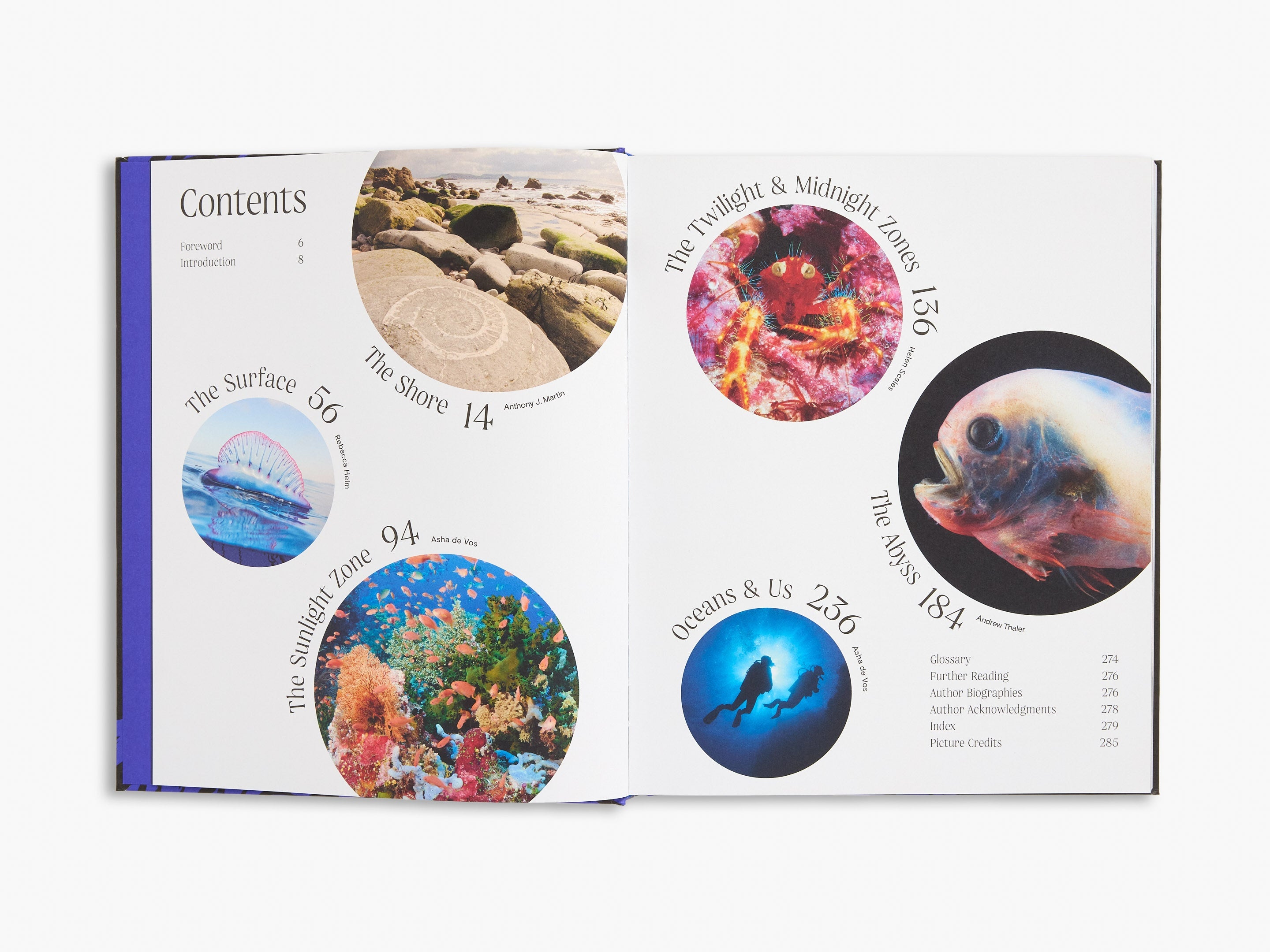 Bright Blue Coffee Table Books