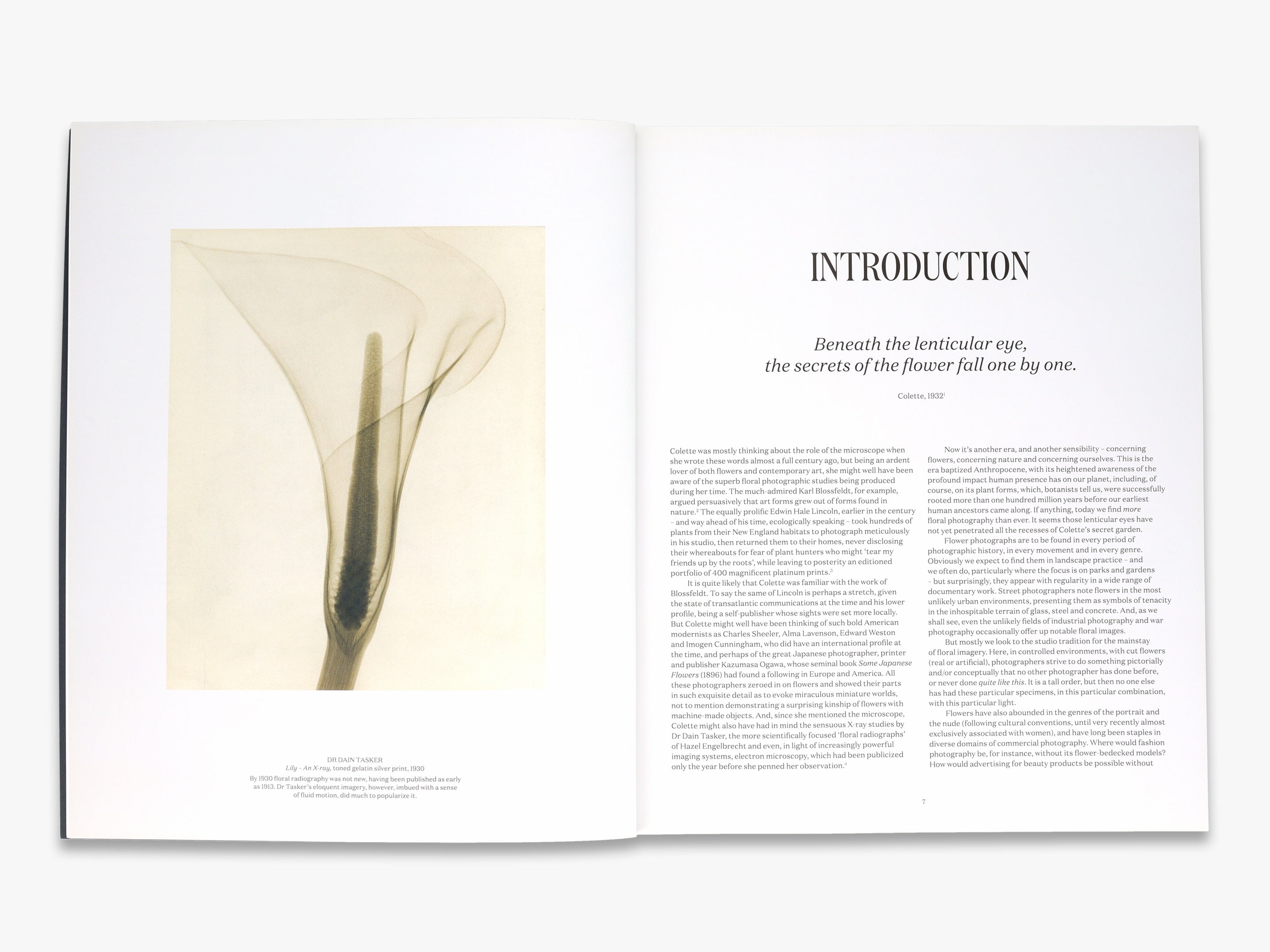 Pink Coffee Table Books