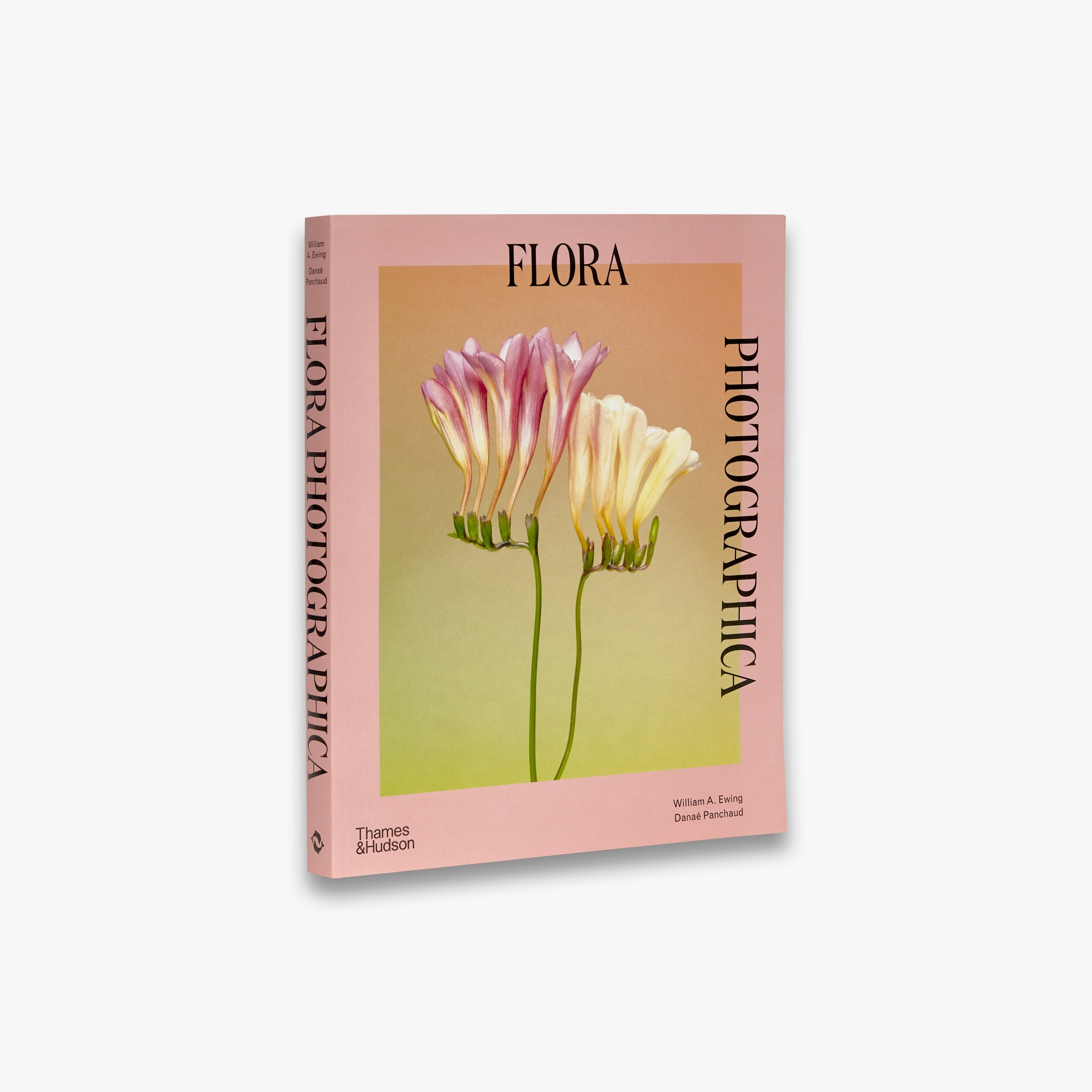 Pink Coffee Table Books