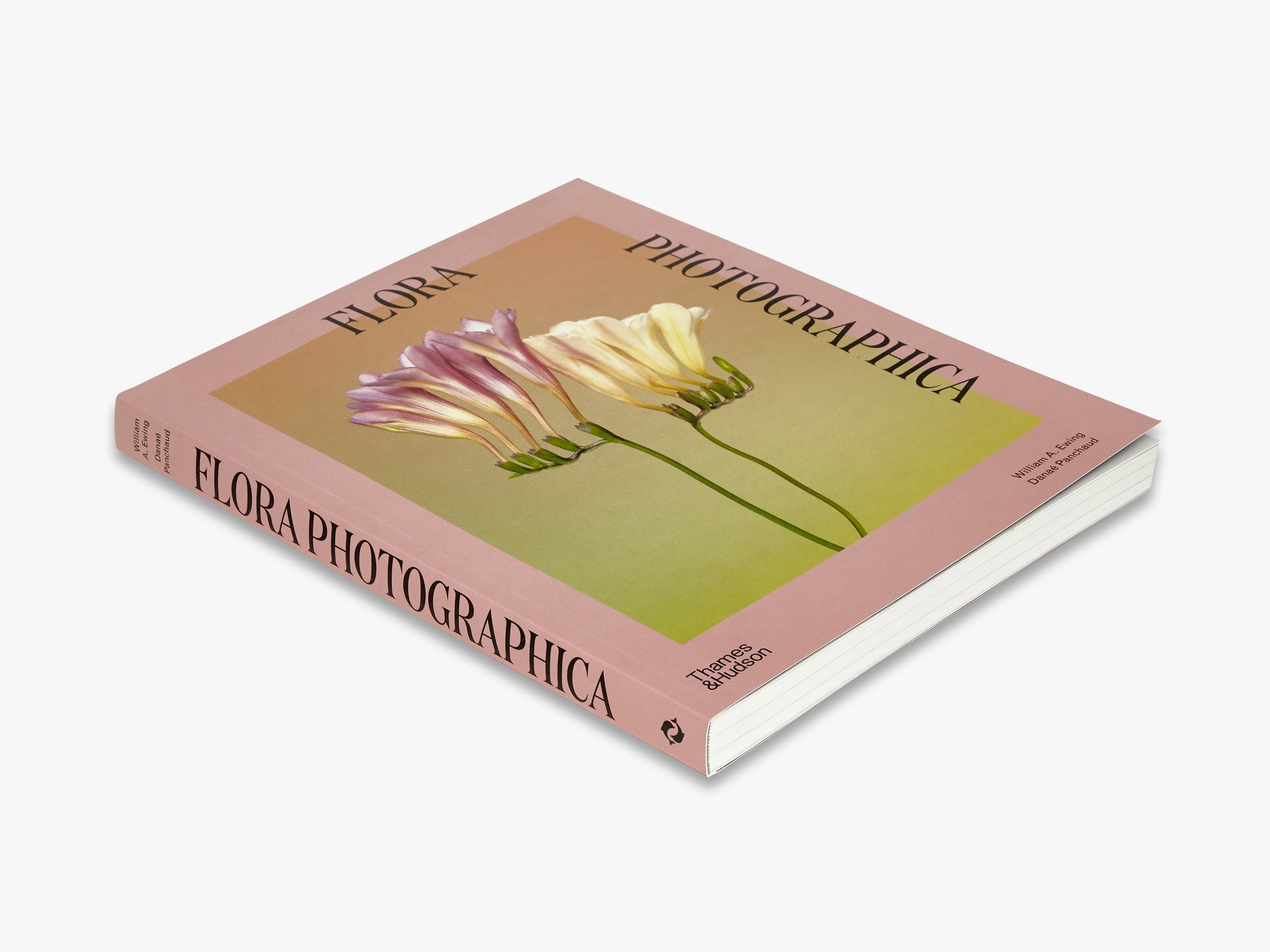 Pink Coffee Table Books