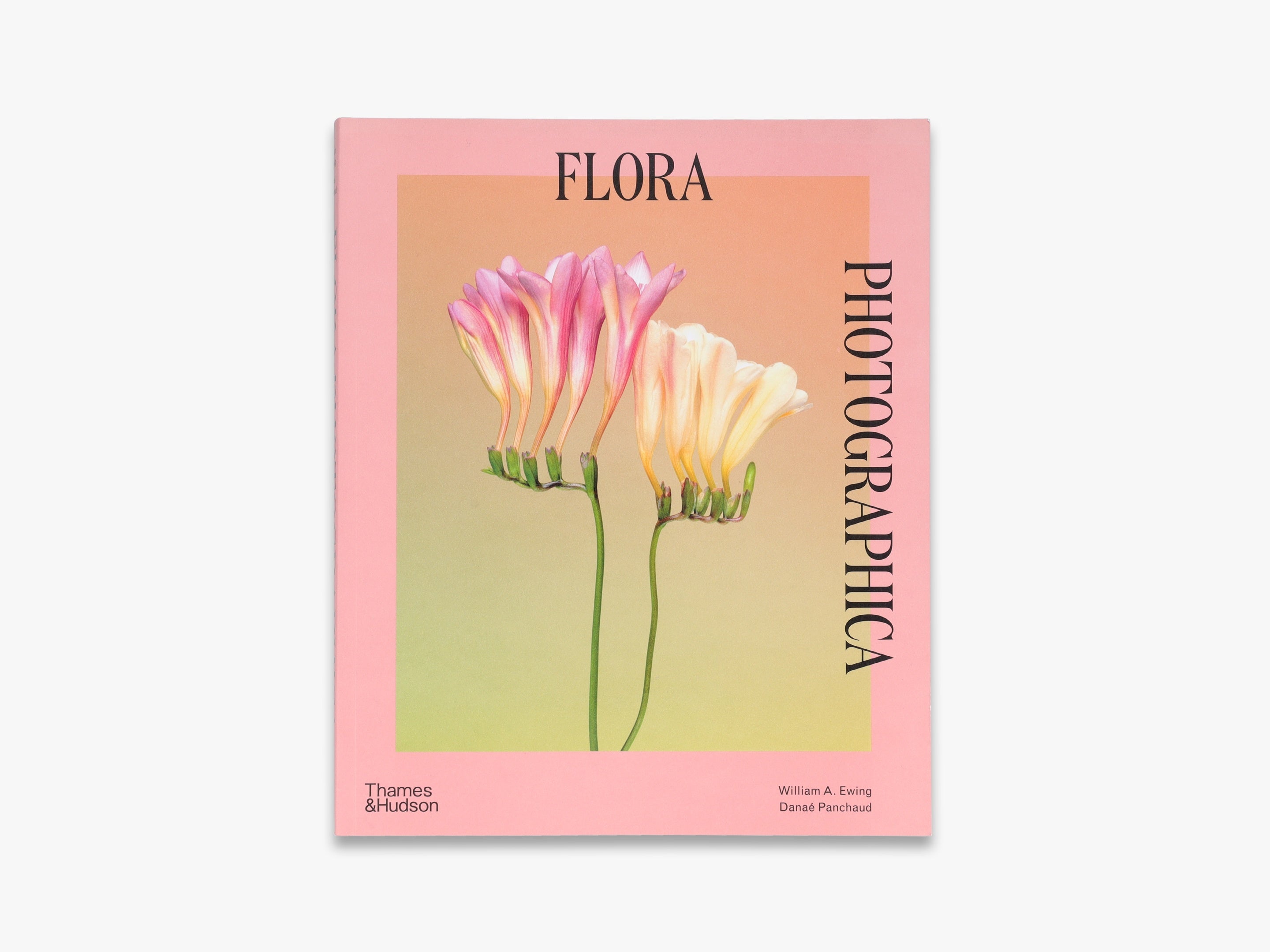 Pink Coffee Table Books